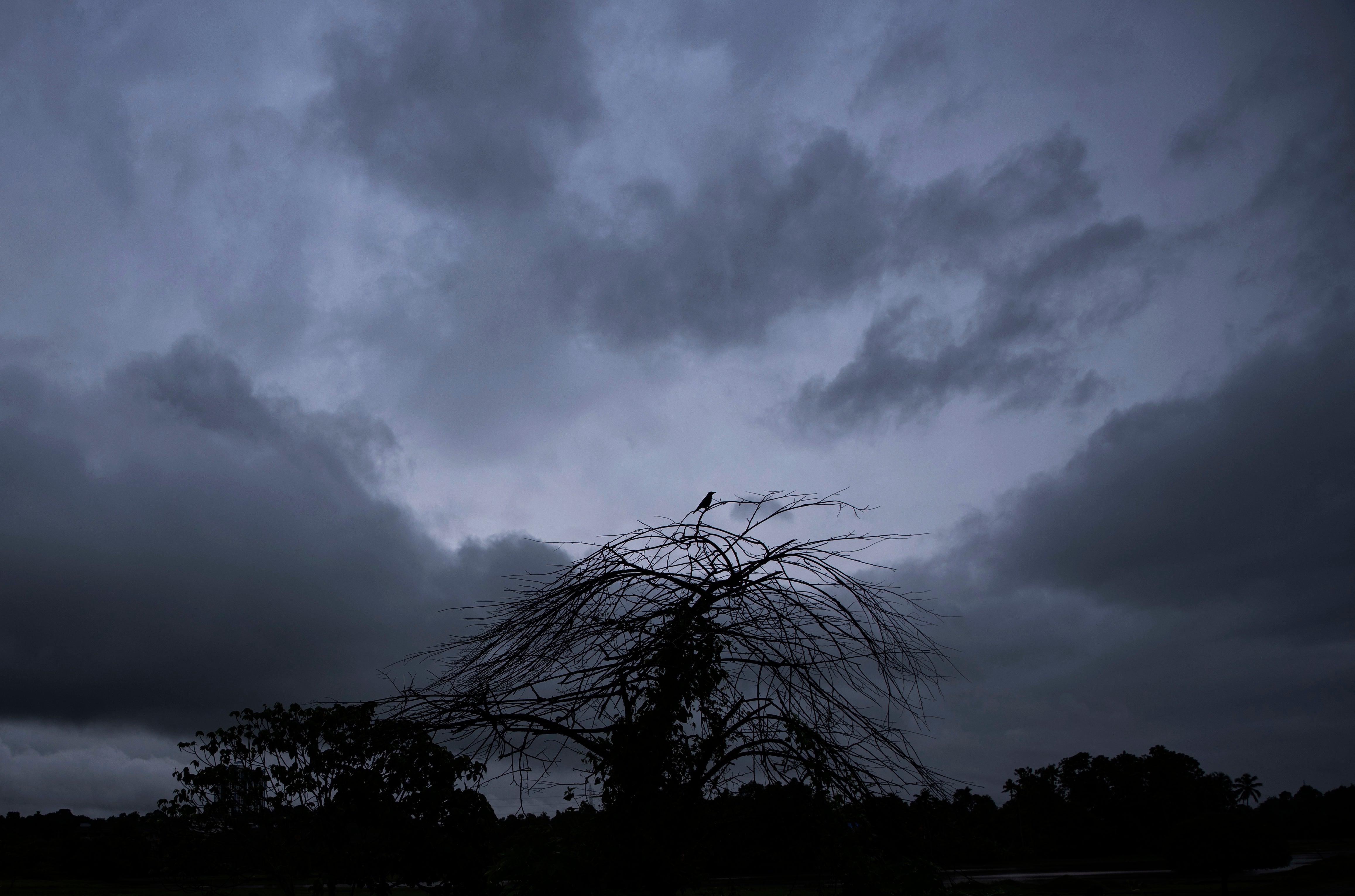 India Rain