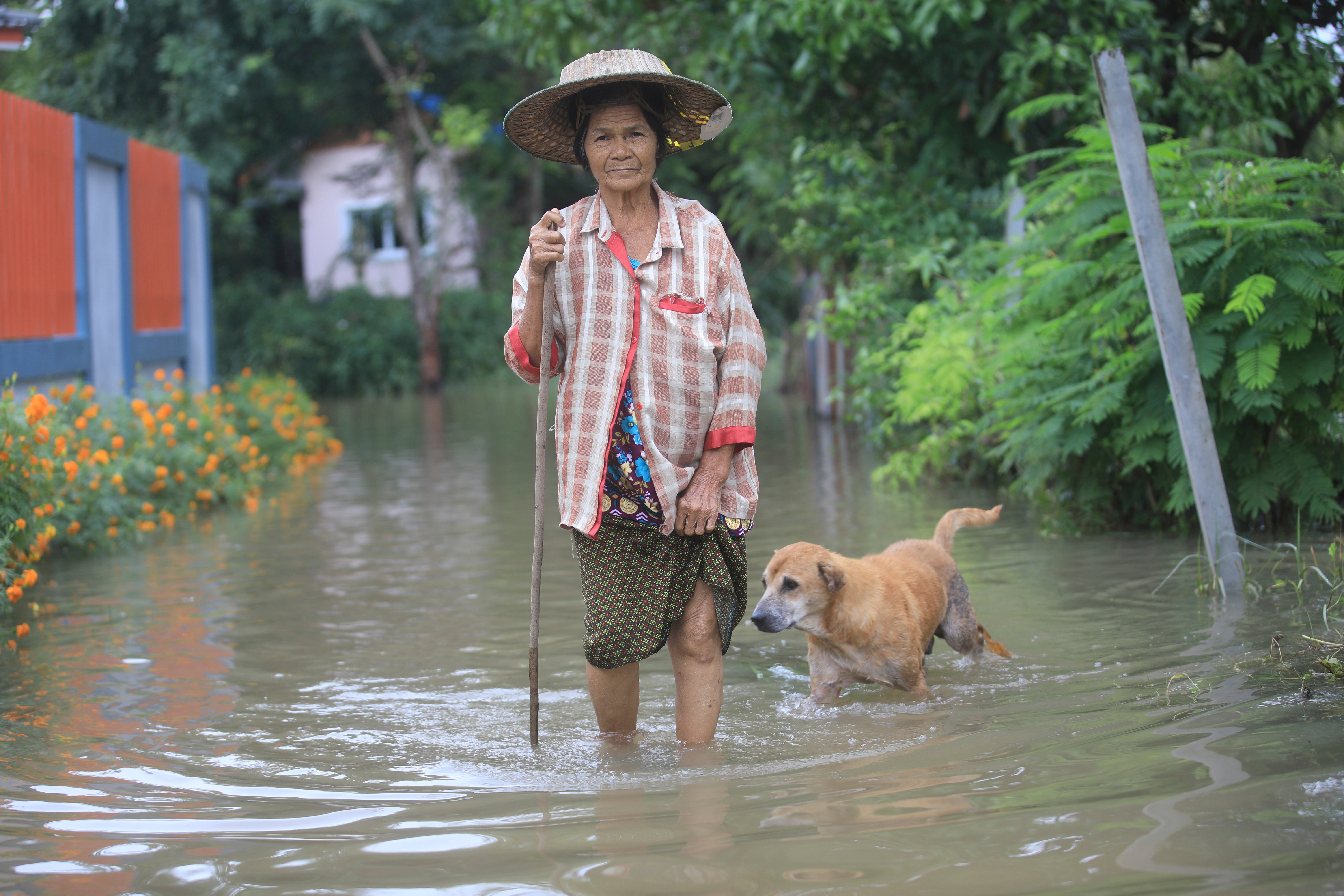 Thailand Flooding