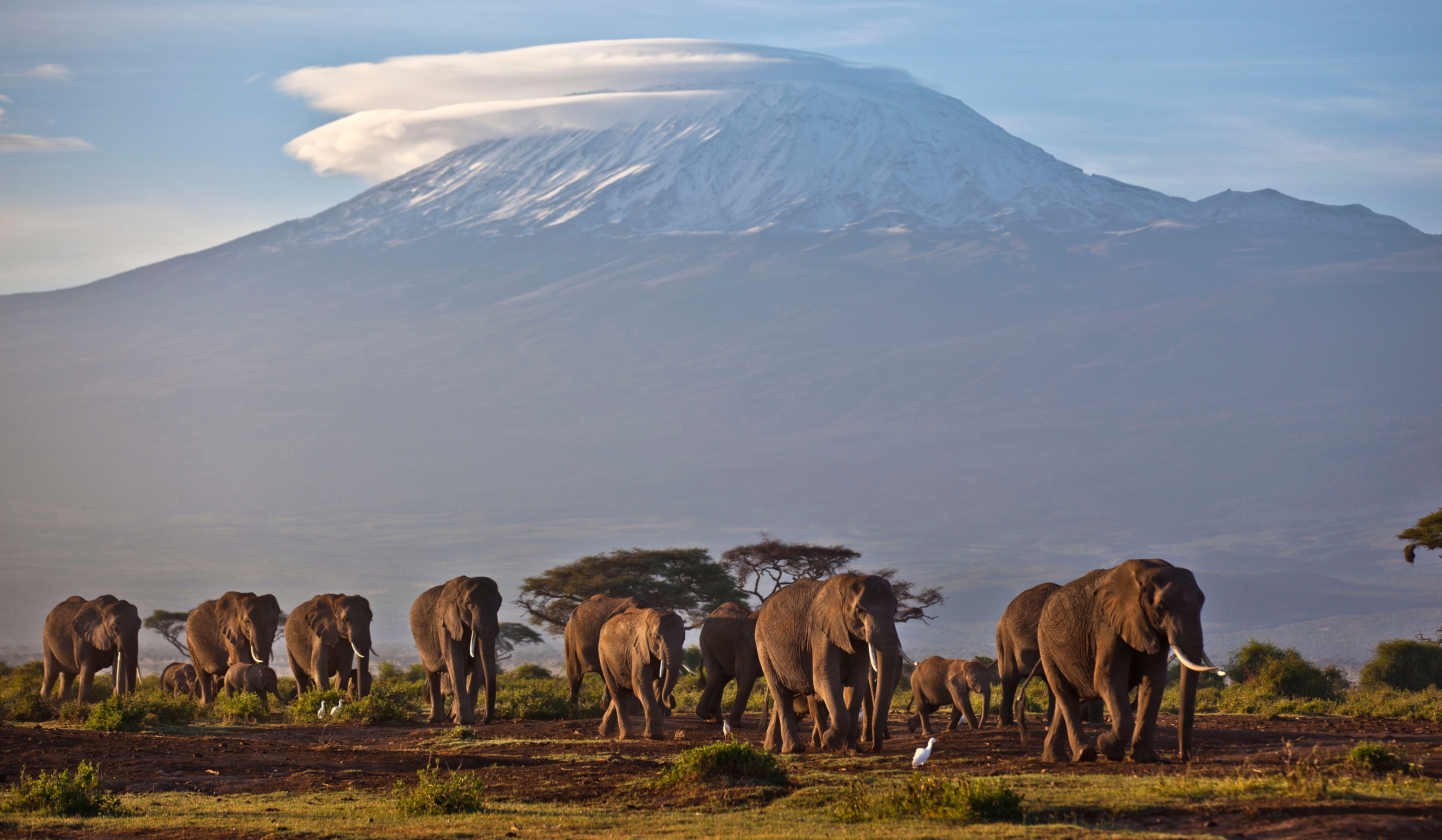 To meet the global goal of net-zero by 2050 will require deep cuts in pollution along with protecting regions of rich biodiversity including across Africa