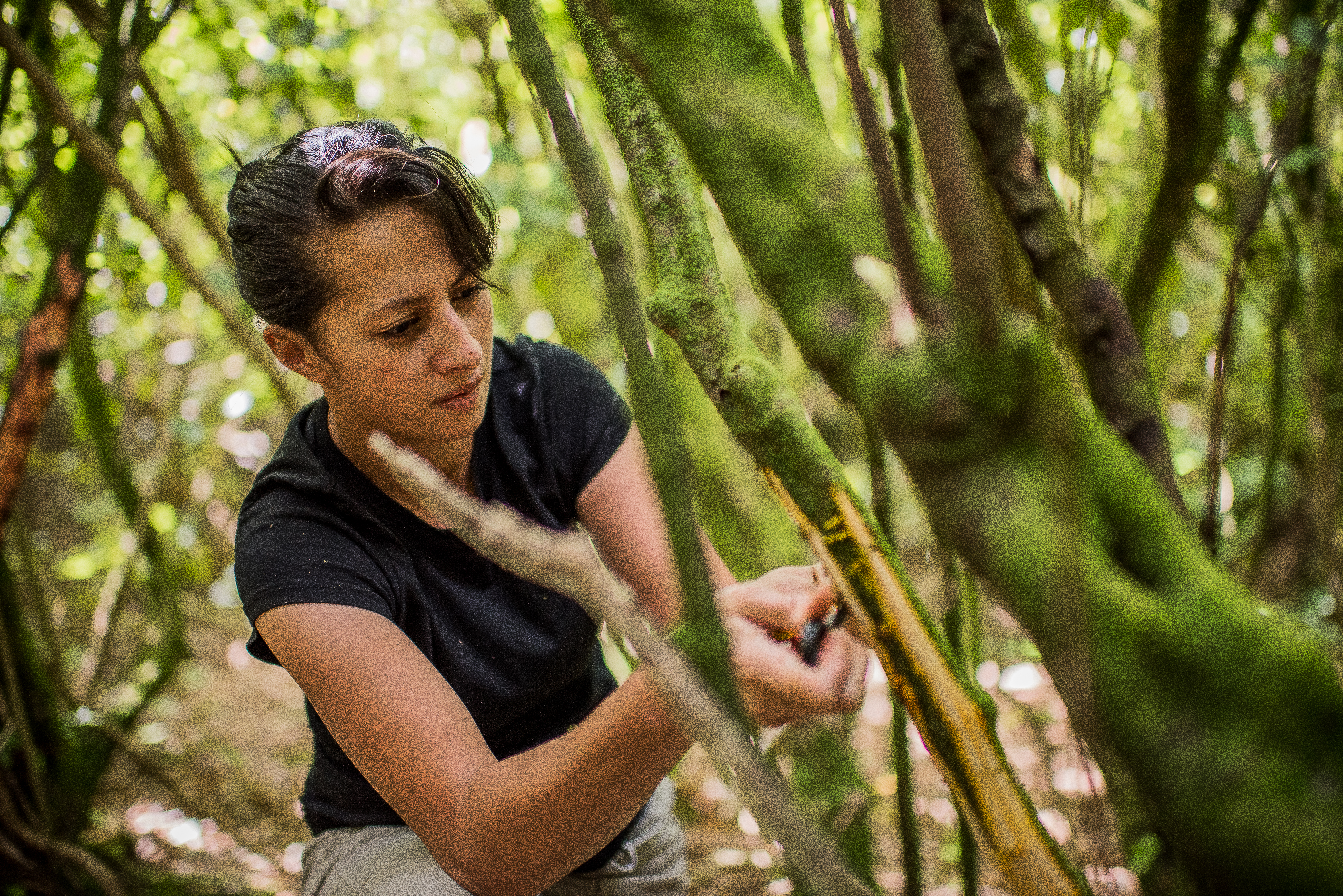 Monique Fiso, chef at Wellington restaurant Hiakai, forages for ingredients: ‘After many years studying other cuisines, I realised I knew very little about my own’