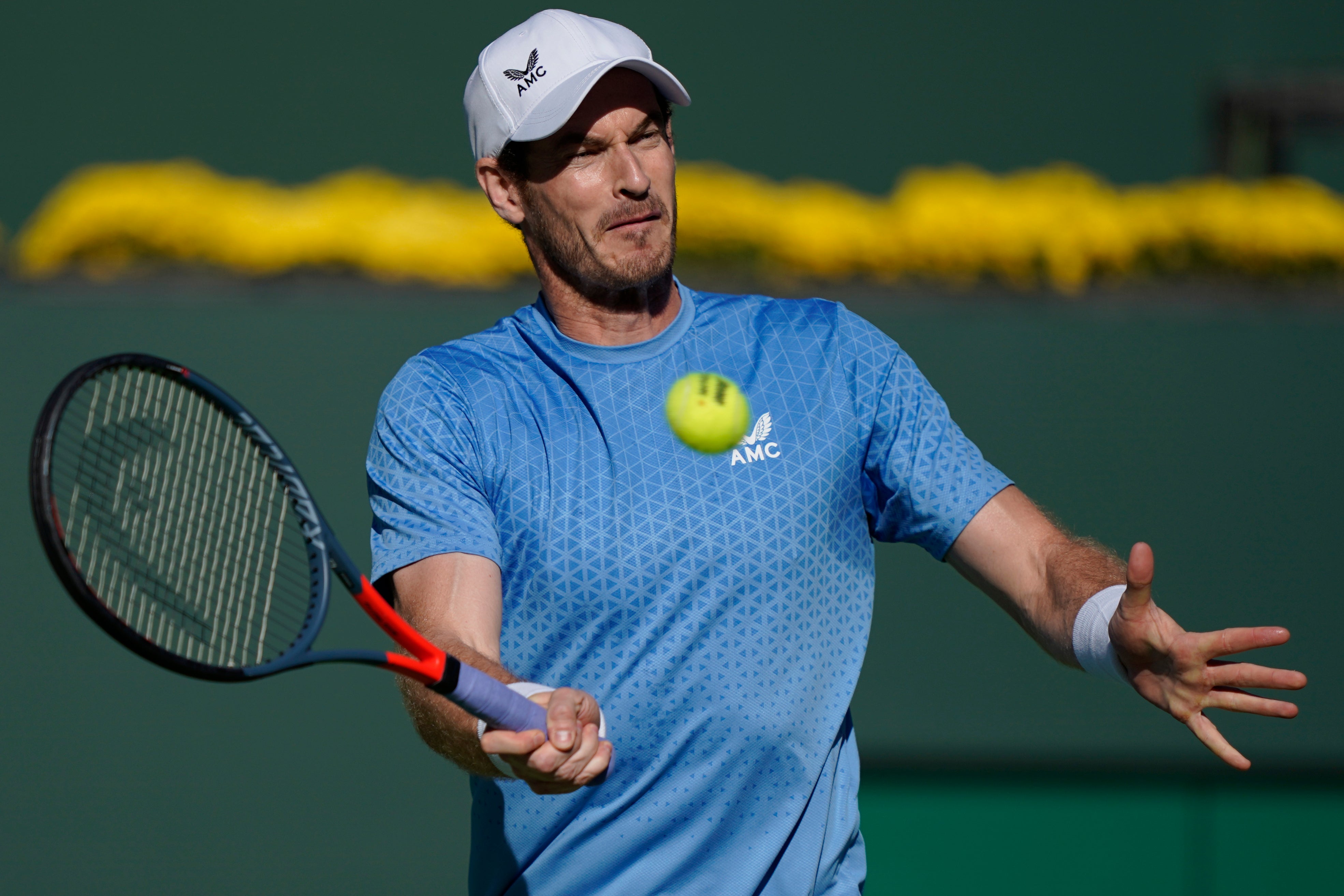 Andy Murray was a second-round casualty at the European Open (Mark J Terrill/AP)