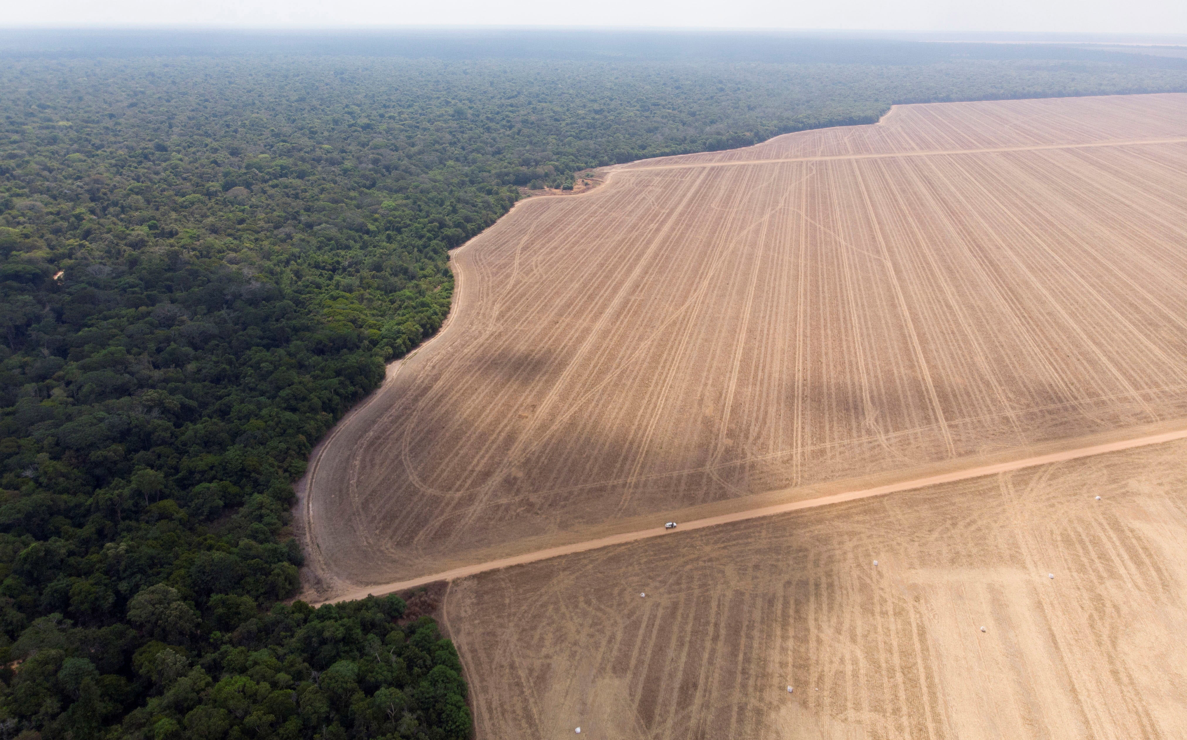 The boundary between the Xingu Indigenous Park and the farmed land that surrounds the reserve