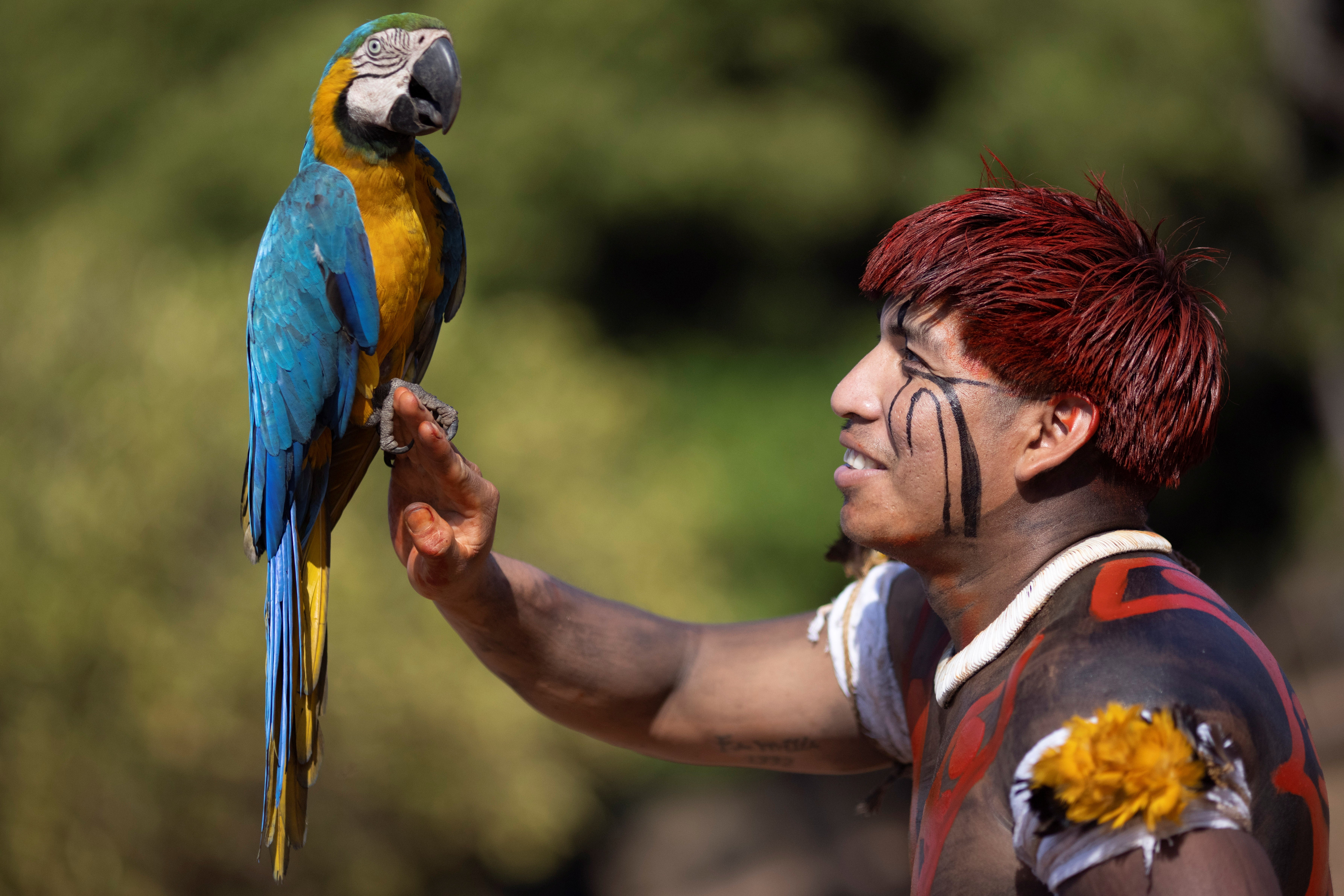 Manapu, a Yawalapiti man, holds a blue-and-yellow macaw