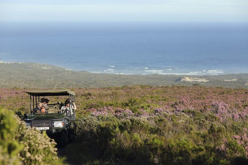 The Grootbos reserve has glorious sea views, with whales swimming offshore