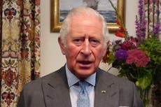 Prince Charles warns of ‘dangerously narrow window’ to act on climate change