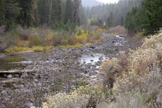 Climate change disrupting natural cycles at drier Lake Tahoe