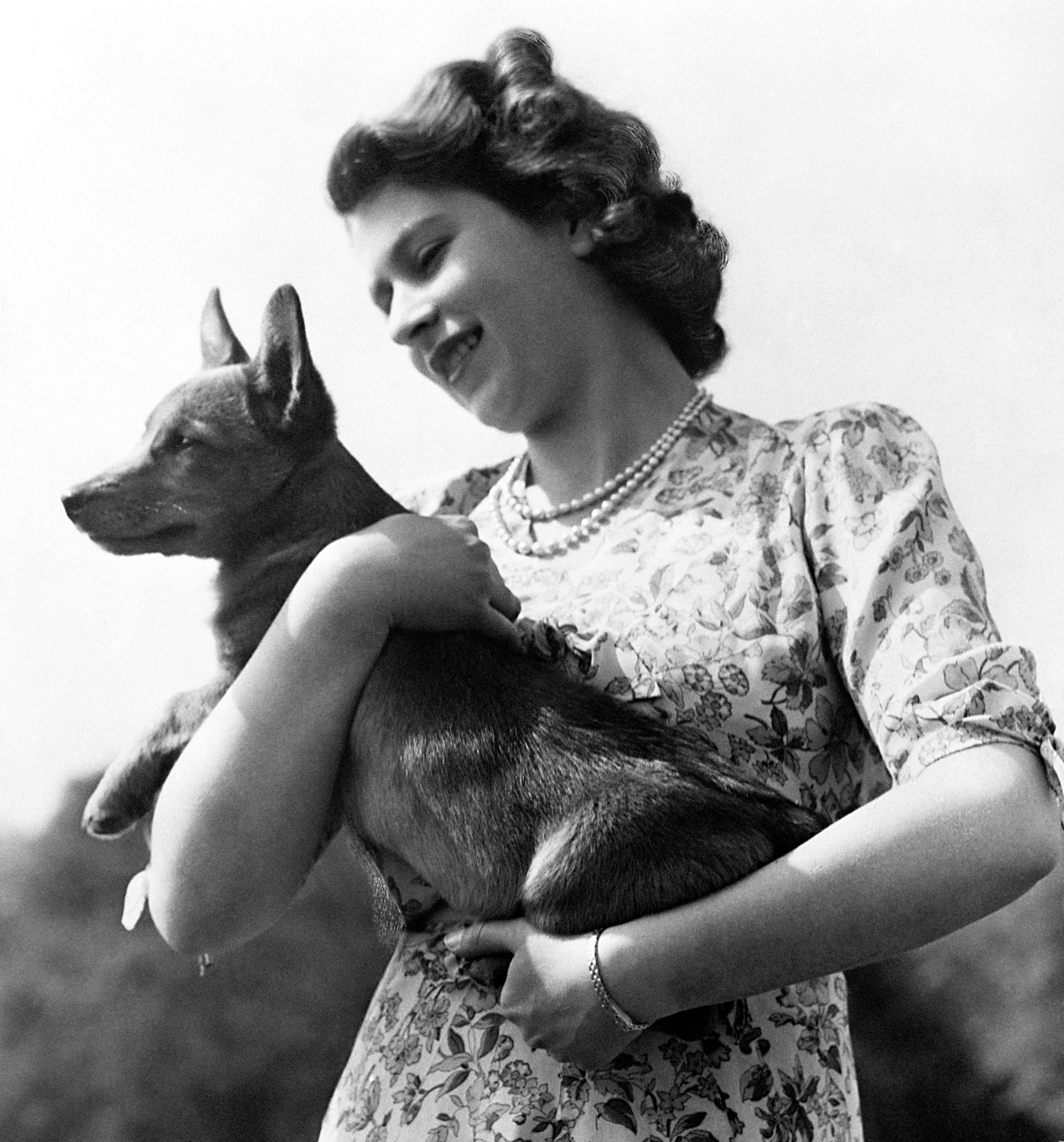 Princess Elizabeth holding a corgi, aged 24 in 1950