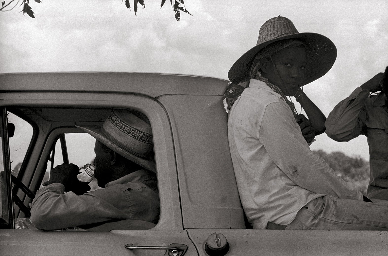 ‘Independent farm workers, Grand Marie Vegetable Producers Cooperative, Louisiana’, 1968