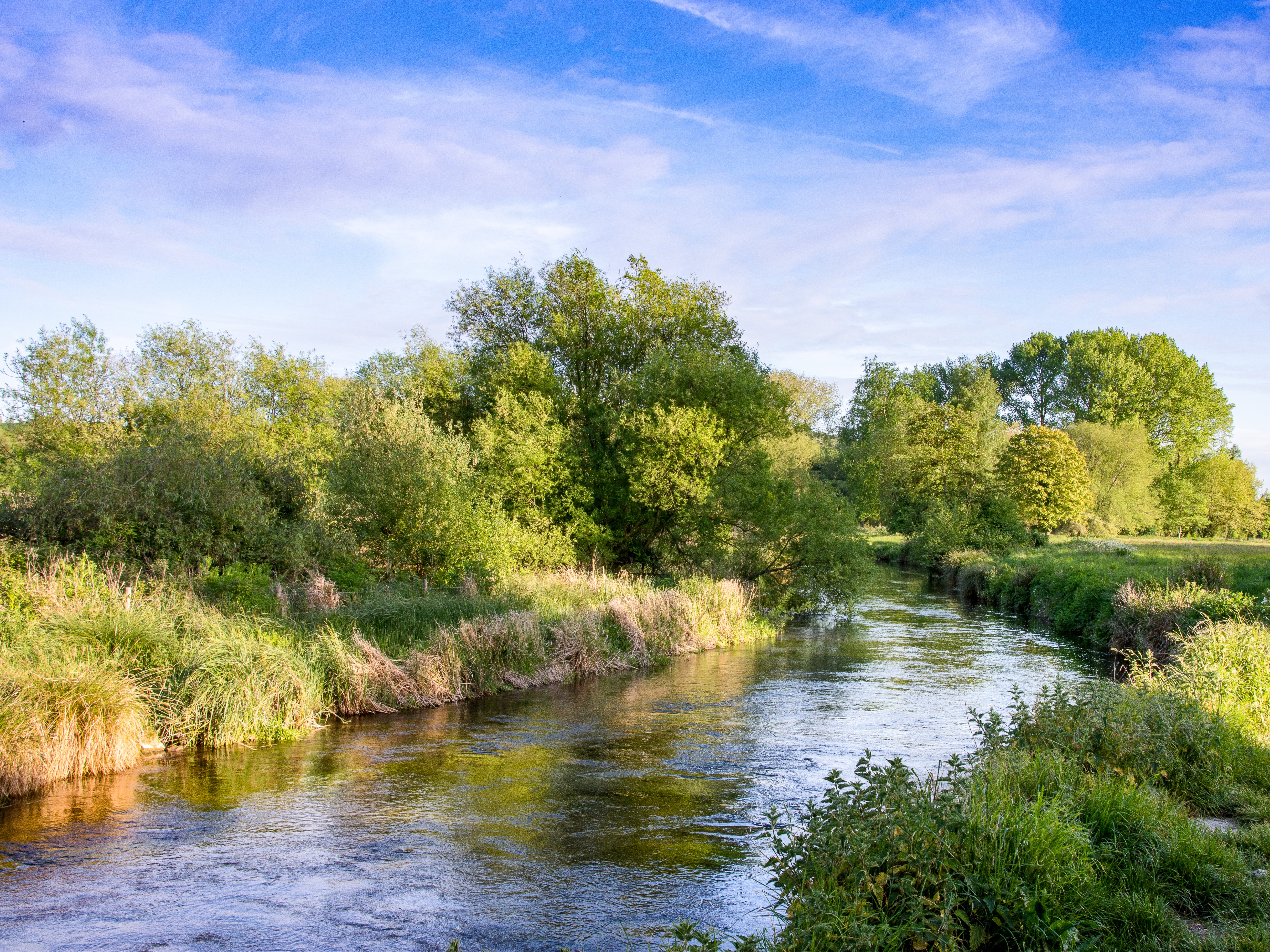 The River Itchen near Winchester, Hampshire