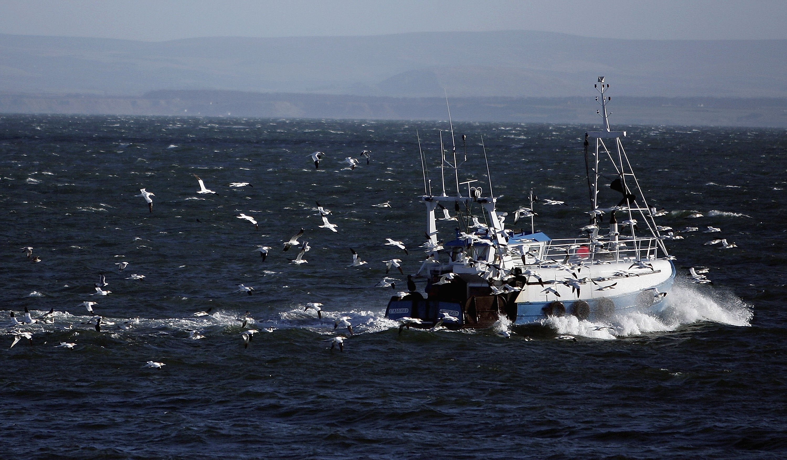 Wild birds migrating to the UK from mainland Europe during the winter months can carry the disease