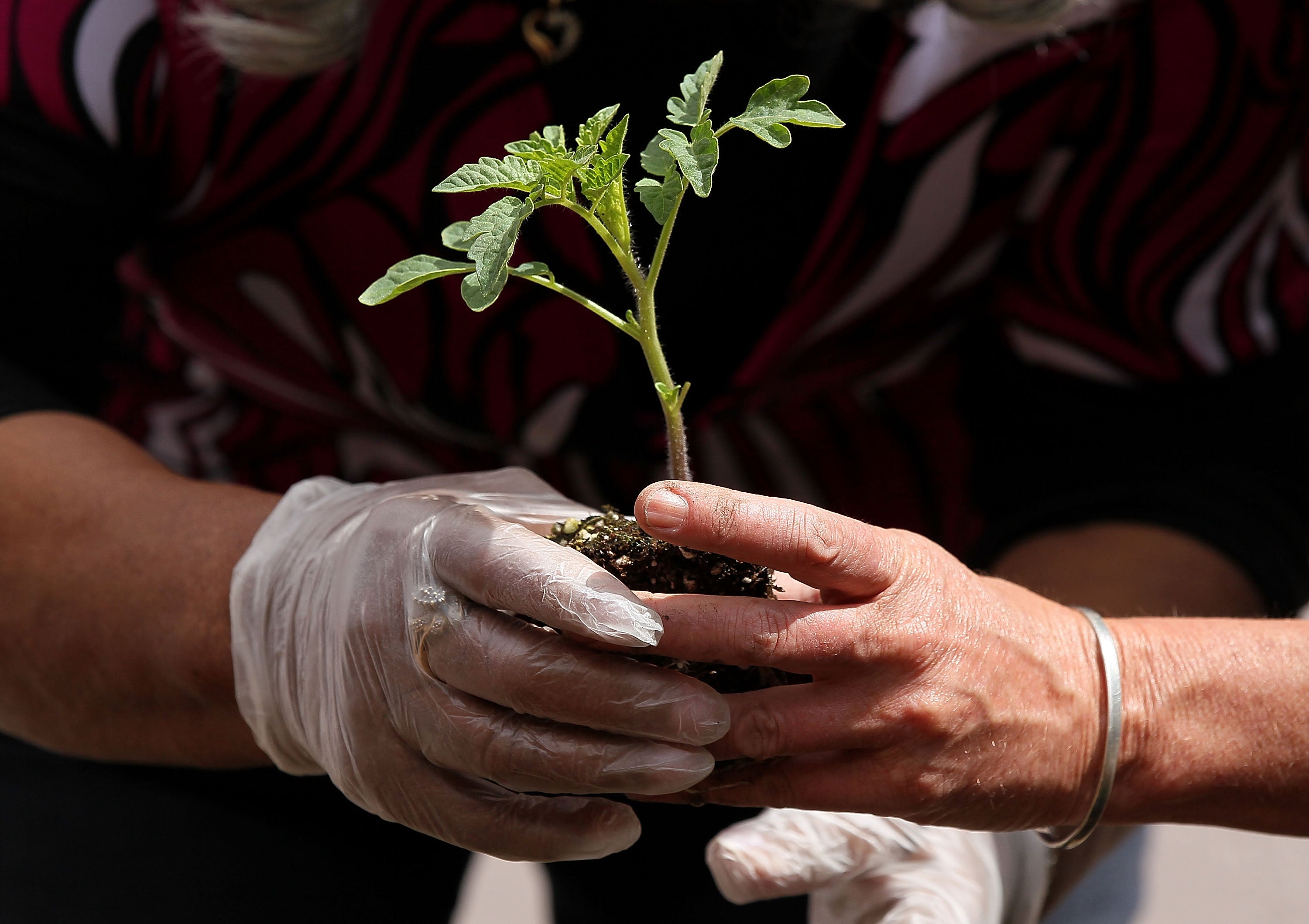 Some said gardening helped their mental health