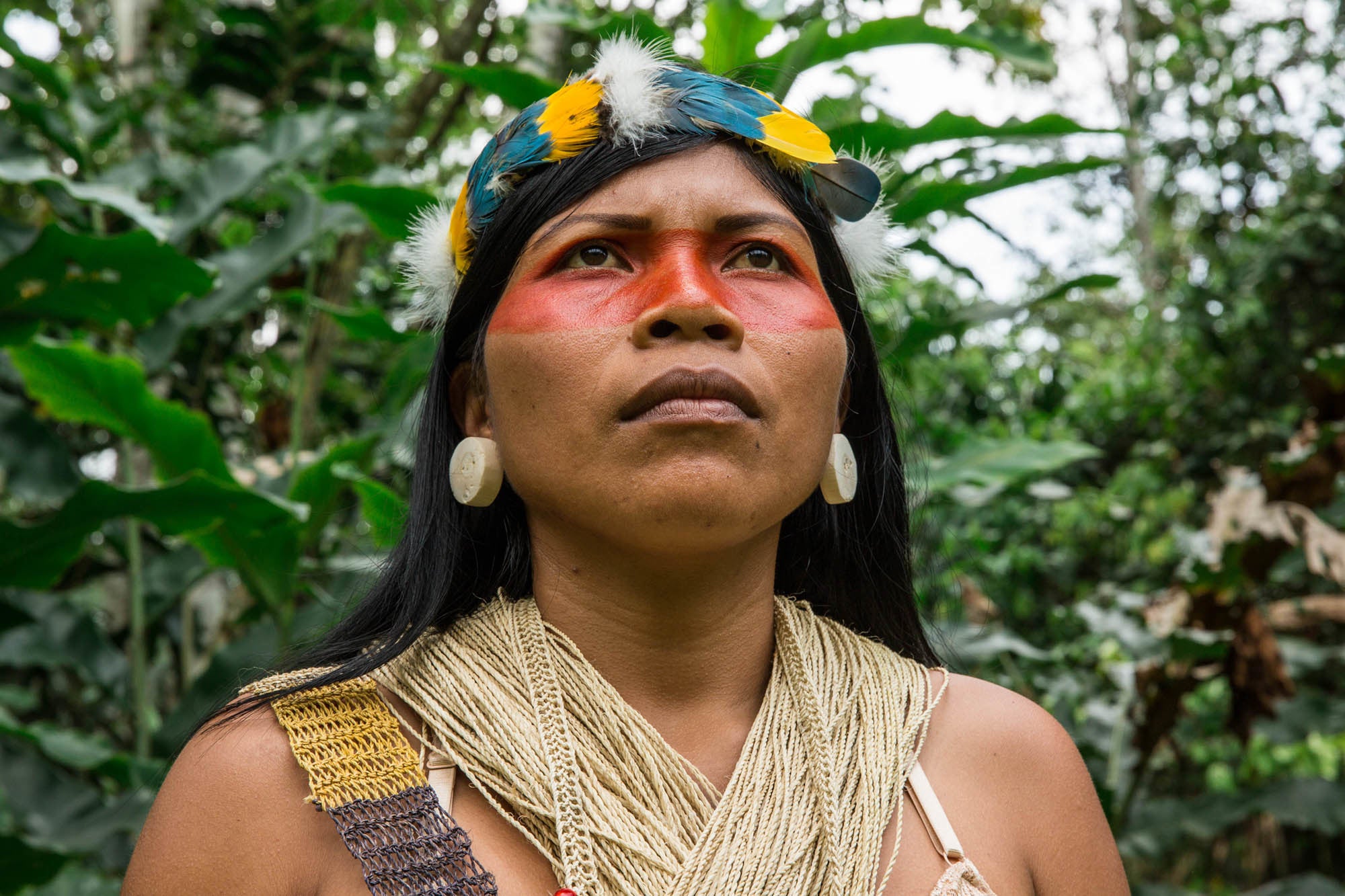 ‘We are putting our lives on the line to protect biodiversity, forests, and ecosystems,’ said Nemonte Nenquimo