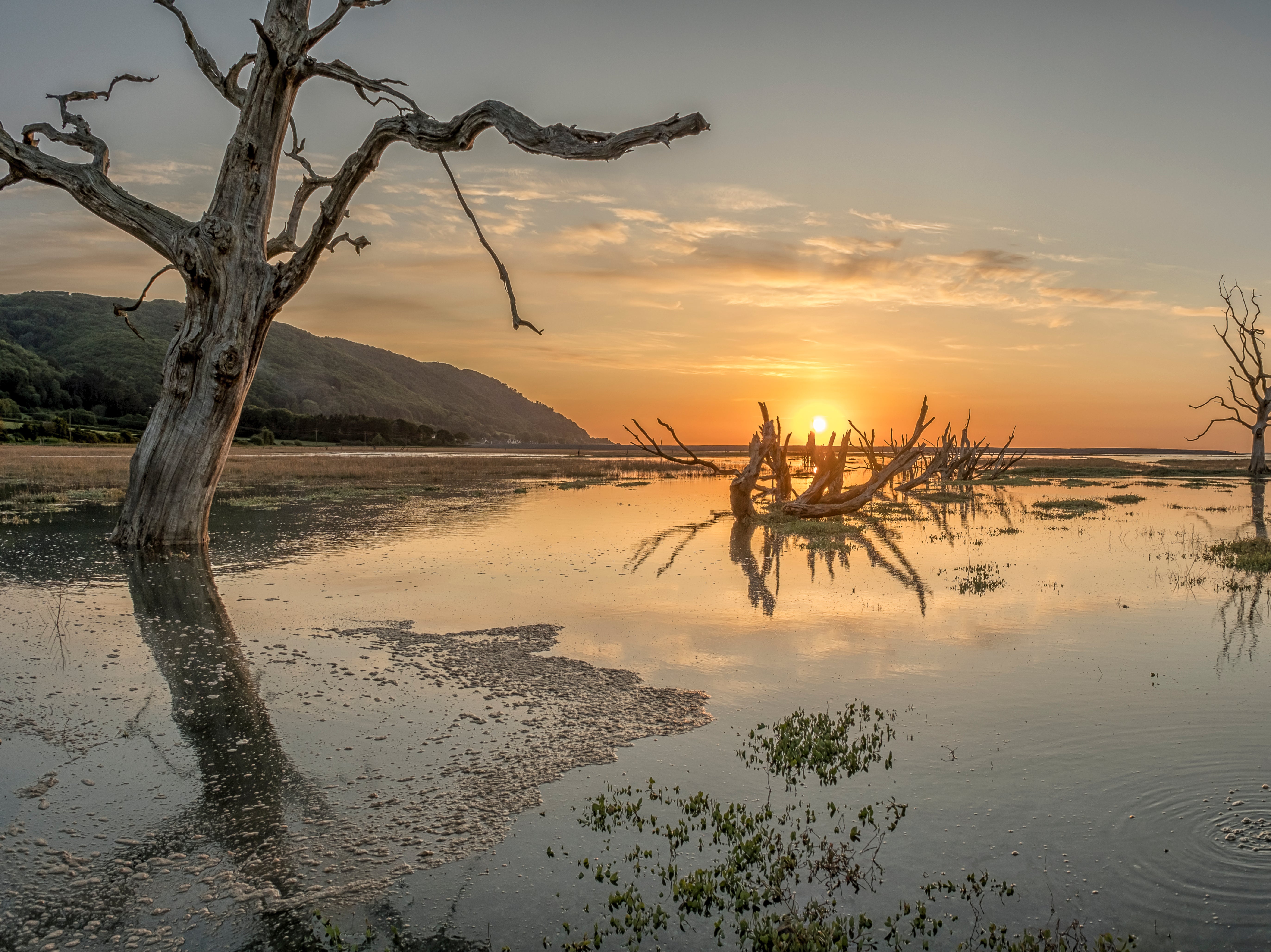 Porlock Marsh in Exmoor National Park by Shaun Davey