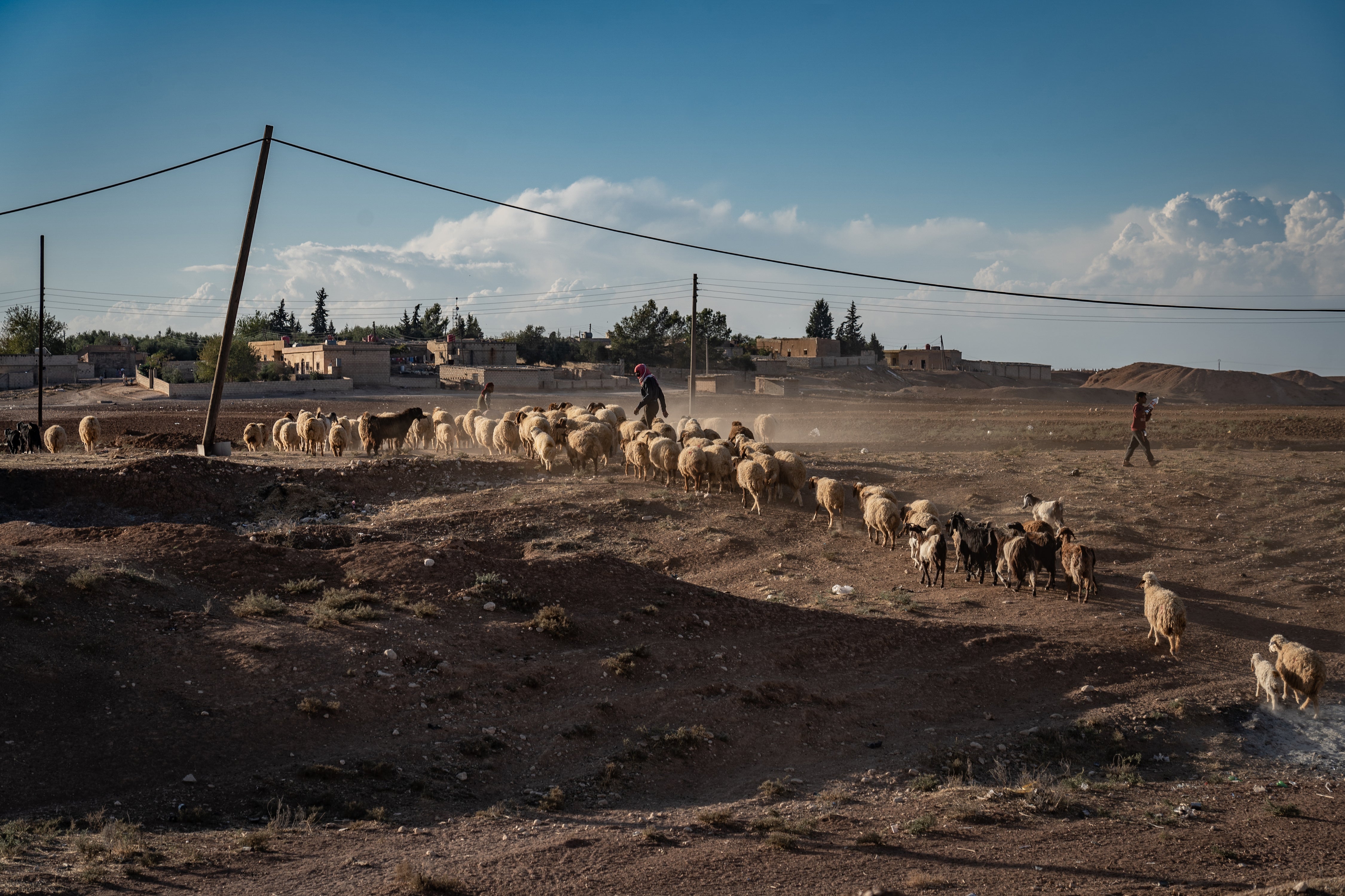 Shepherds move their flock over the dry bed of the Khabour river