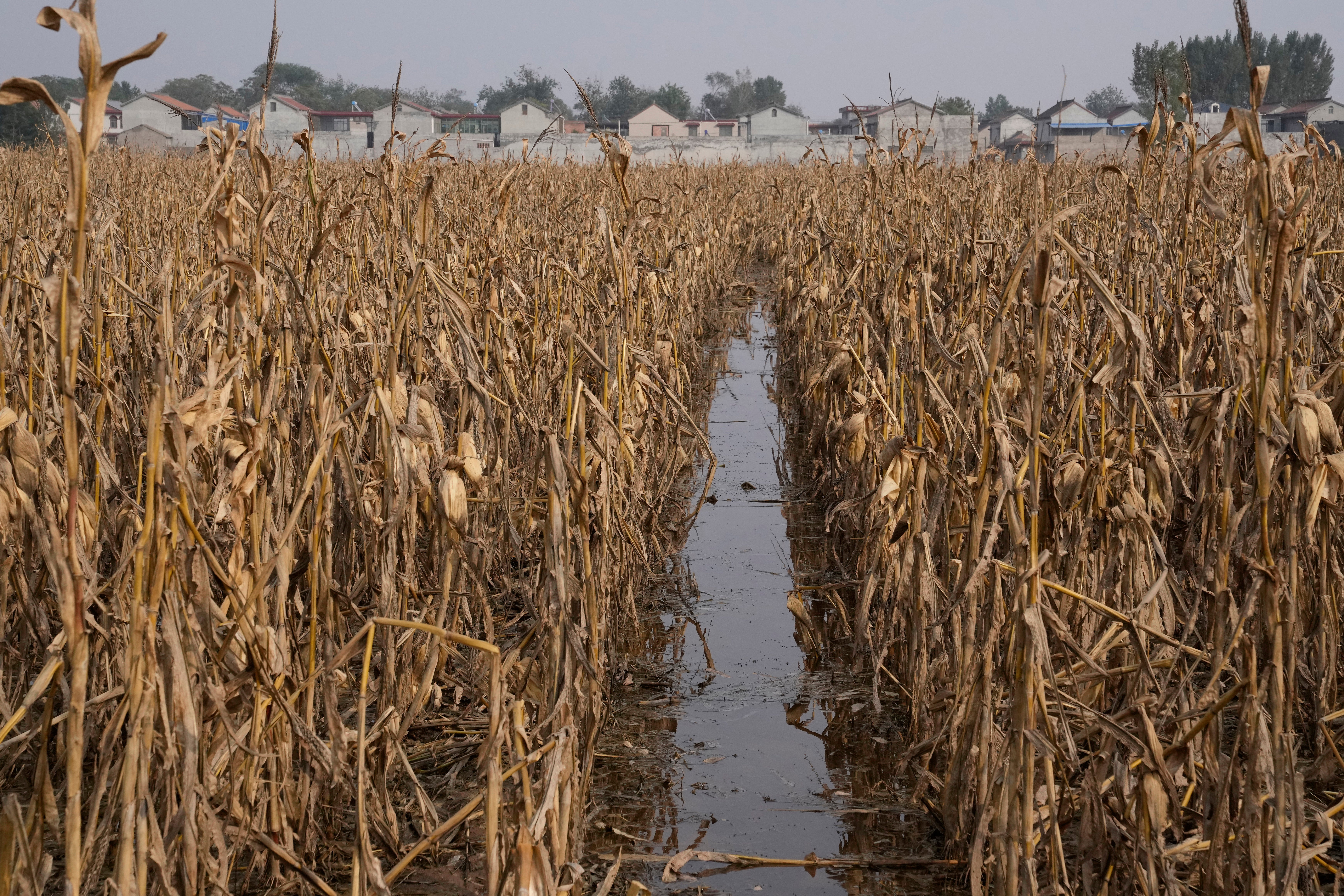 Climate China