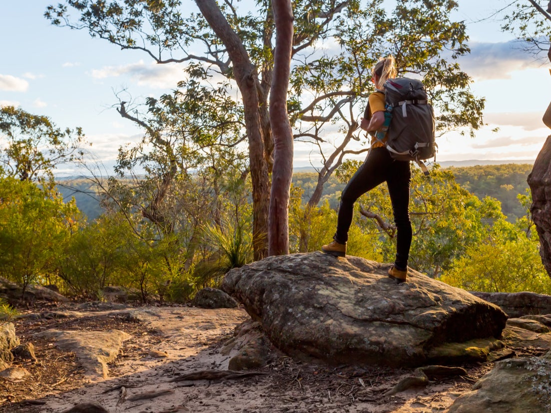 ‘Backpacker tax’ was introduced in 2017