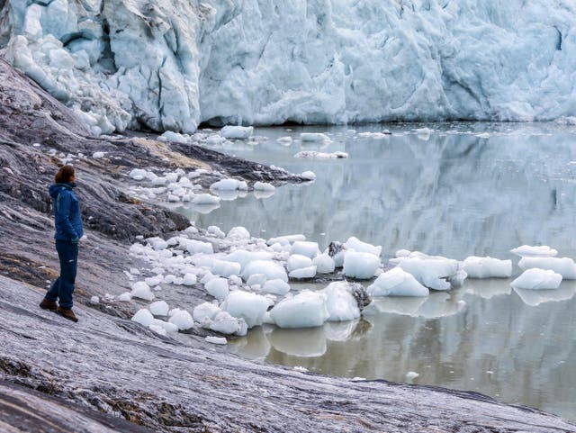 <p>At the face of Pia Glacier</p>