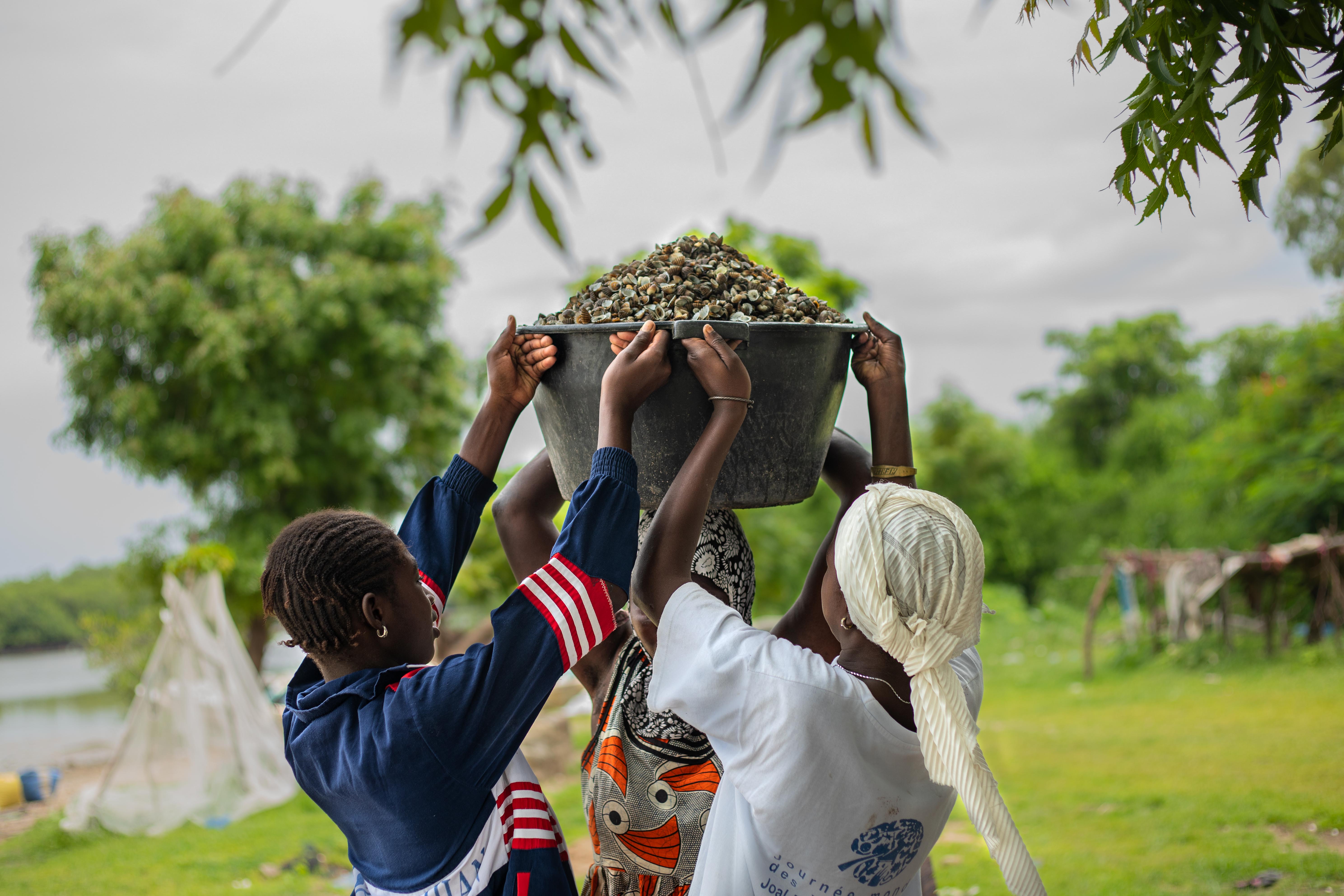 Girls from a fishing community assist in lifting the cockle shells that have just been processed