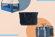 8 best dog carriers to transport your pet in comfort and style