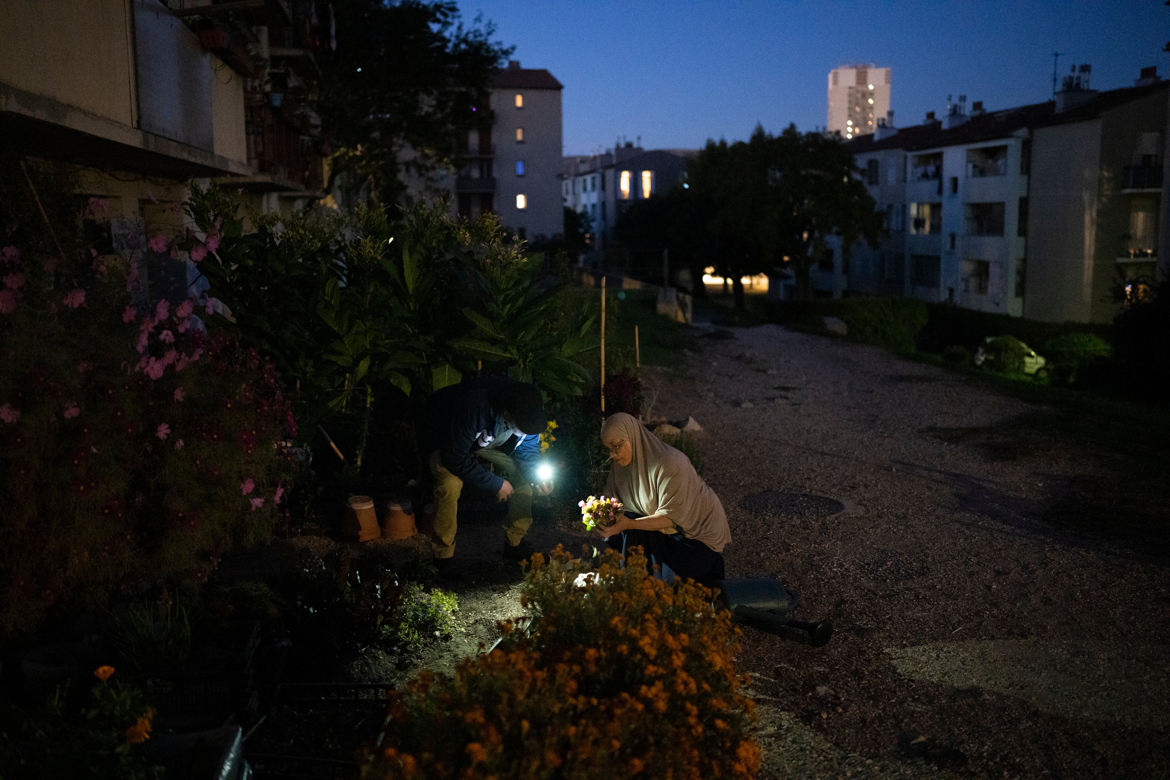 France Urban Gardens Photo Gallery