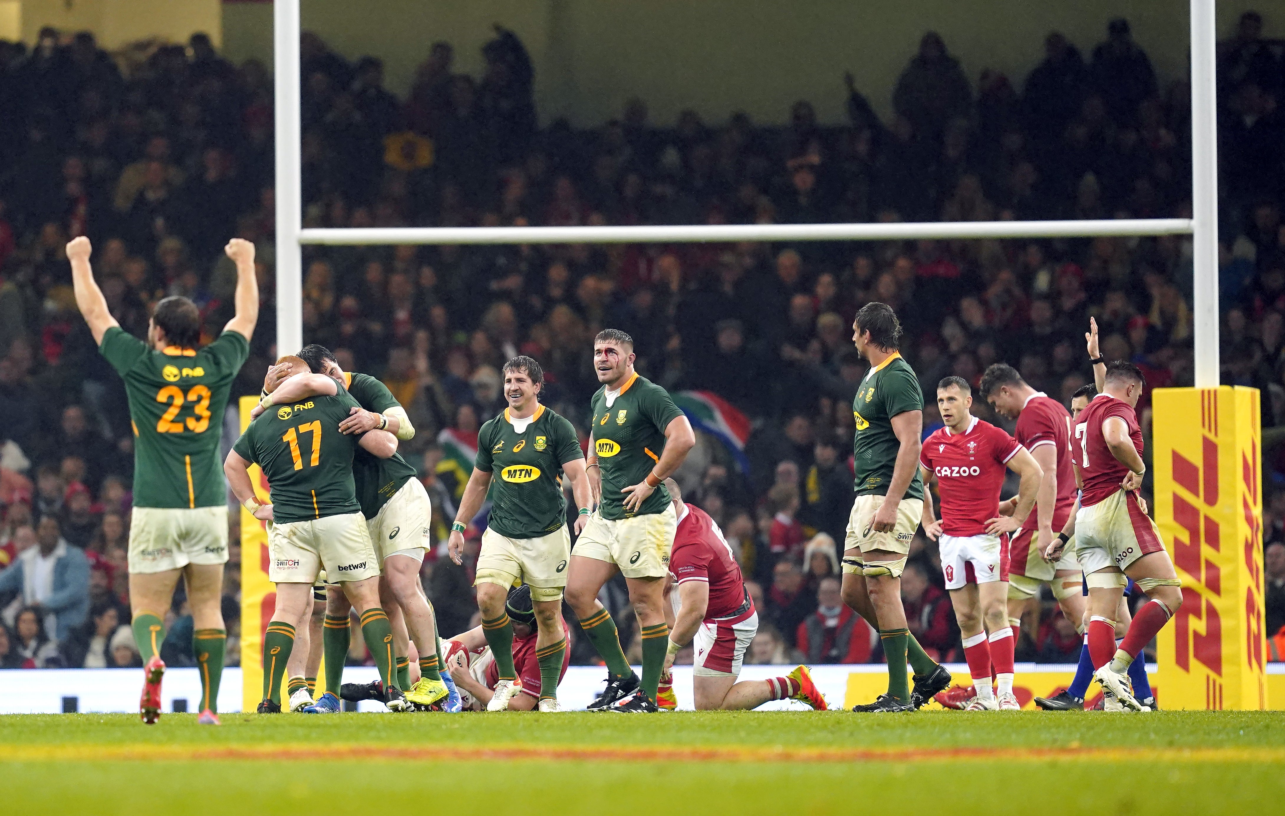 South Africa’s Frans Steyn celebrates at the end of the game (David Davies/PA)