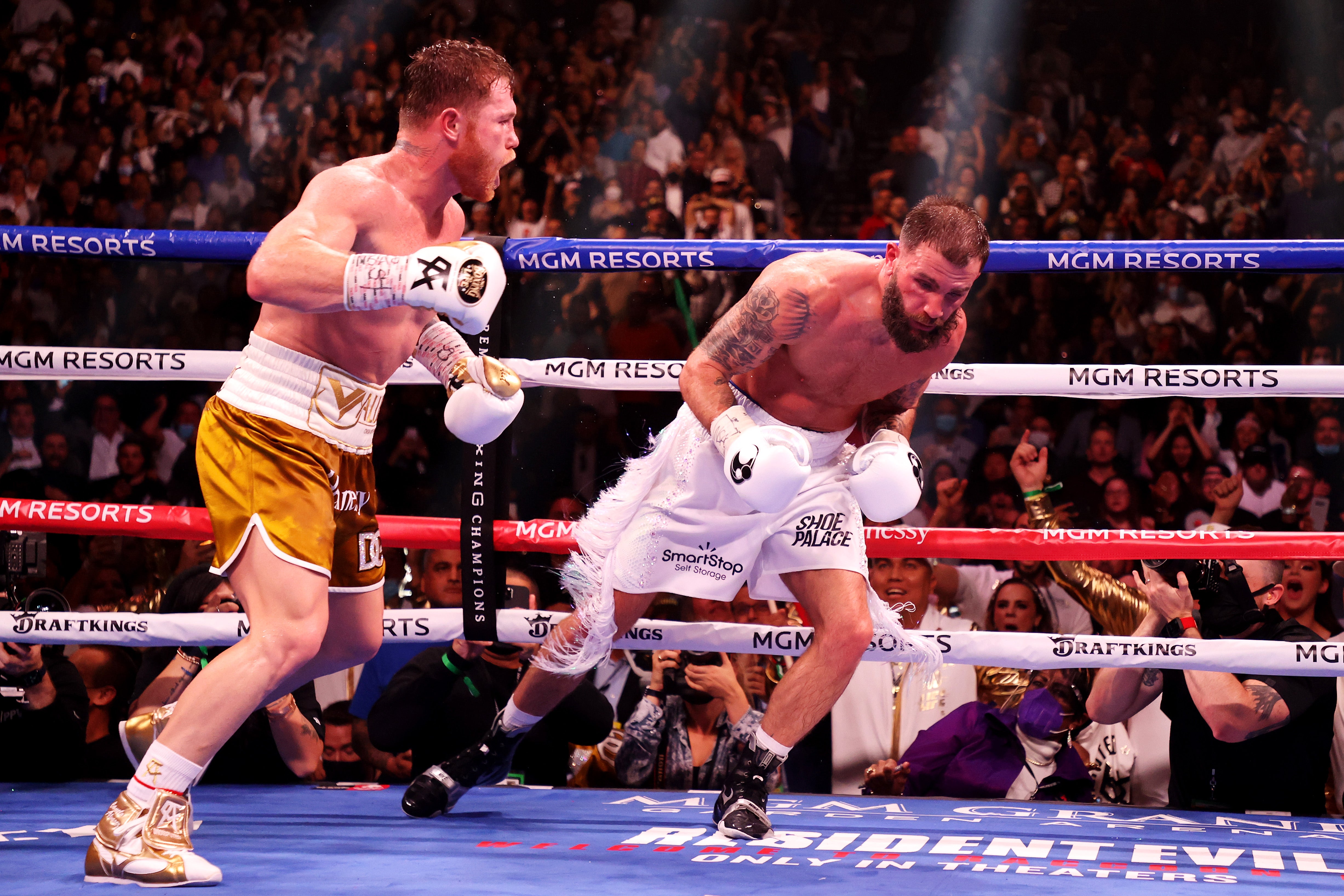 Canelo Alvarez pins Caleb Plant against the ropes