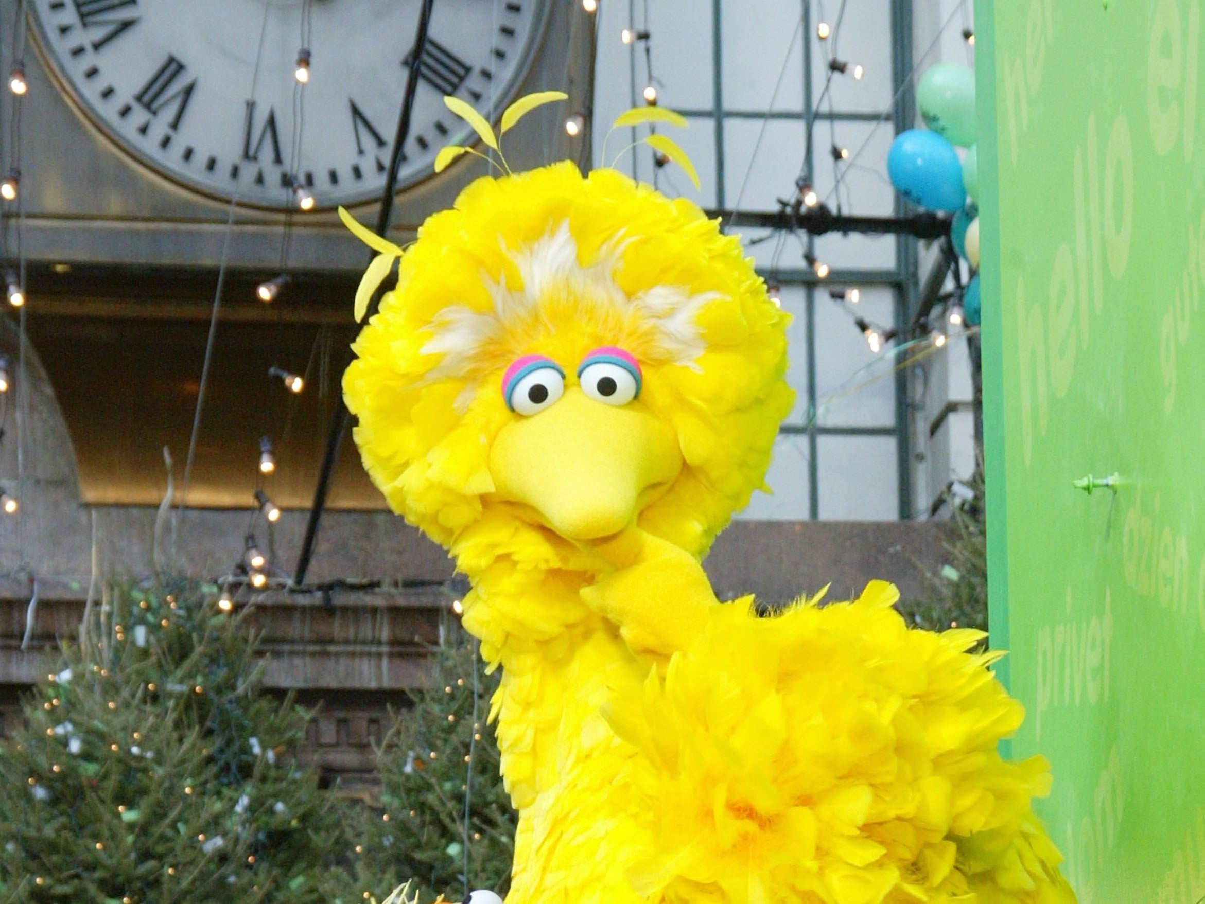 Big Bird, star of Sesame Street