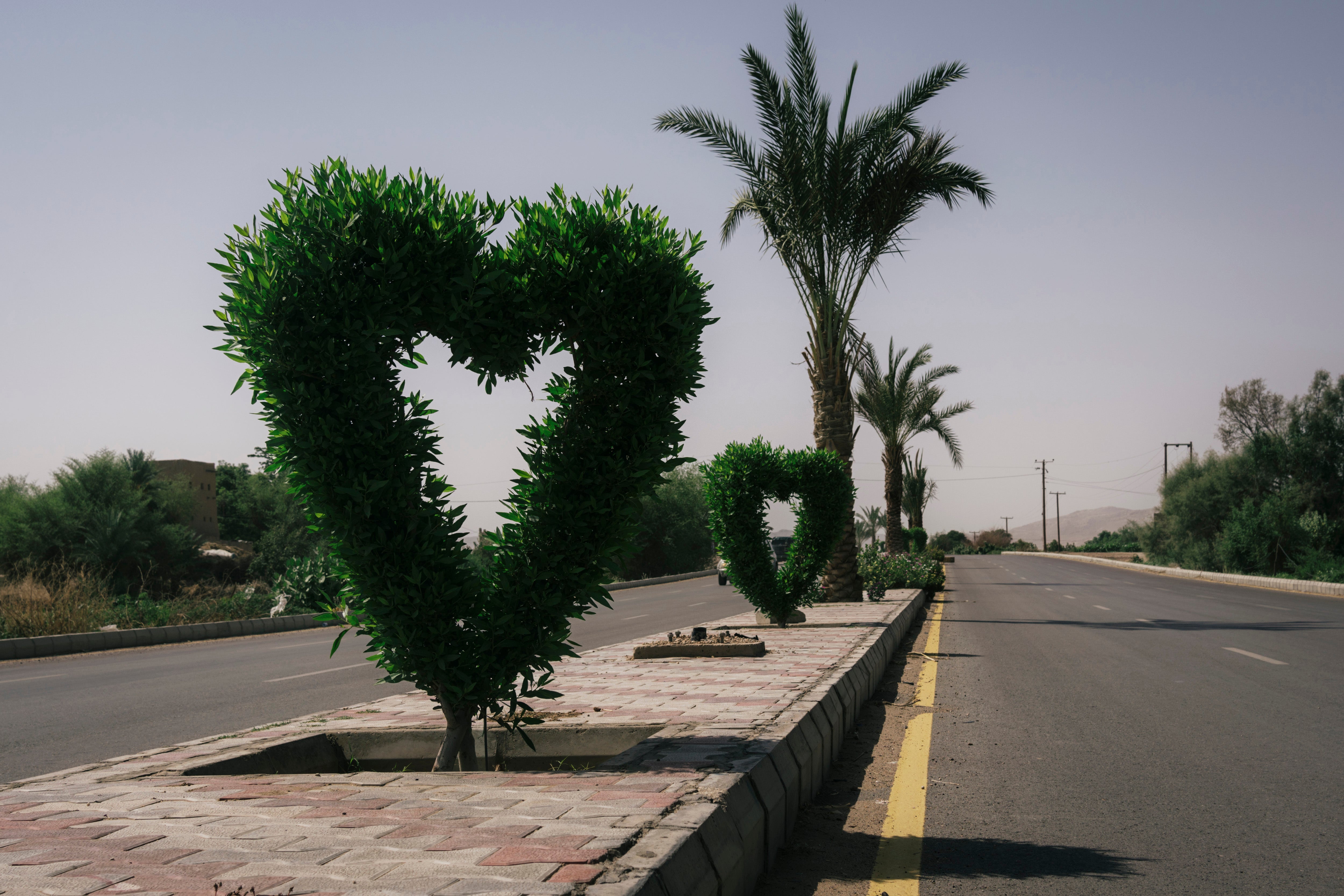 Along the provincial capital’s pavements and roads, the intricately groomed trees suggest that there are still efforts to breathe new life into Marib