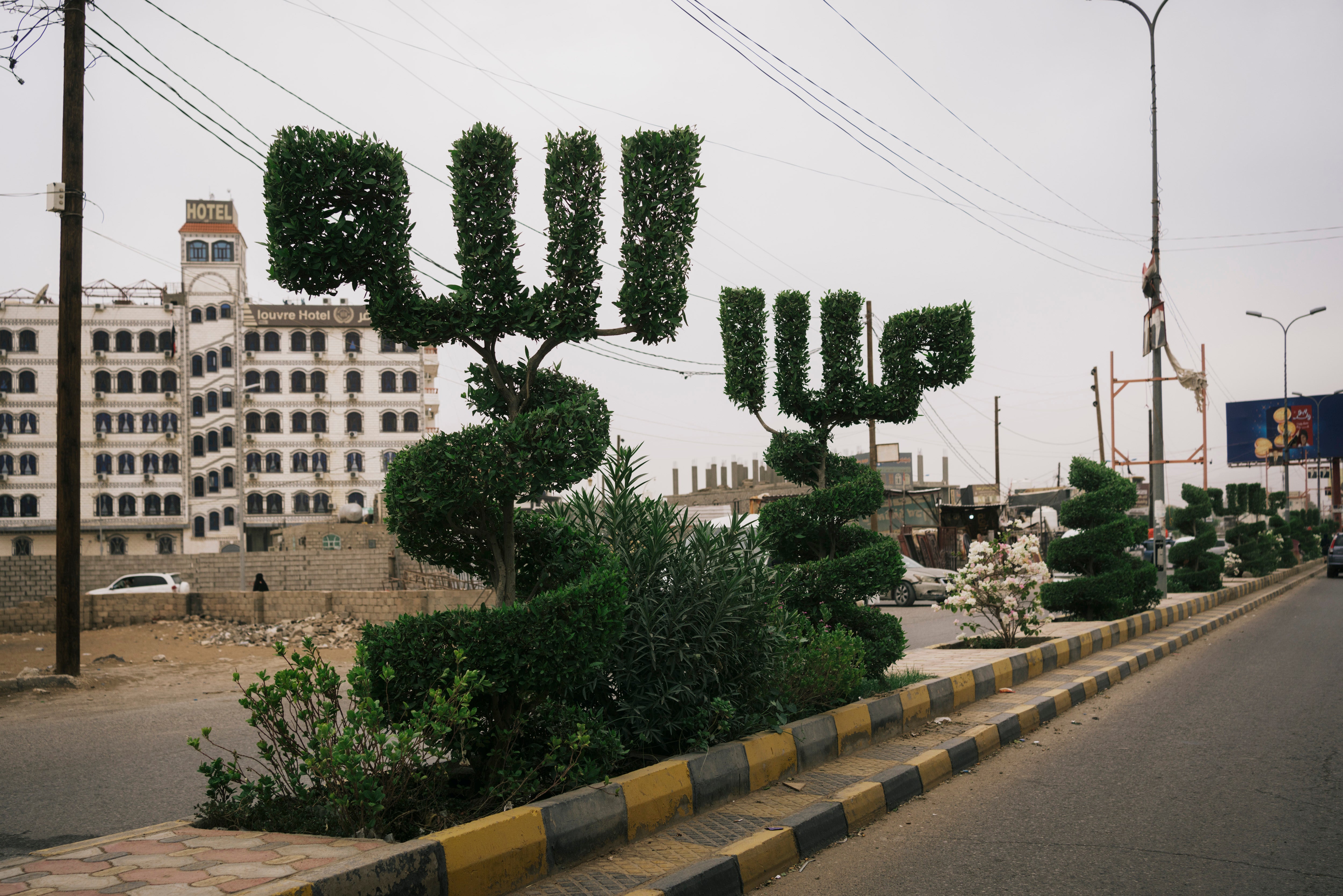 Some of the trees are trimmed in the shape of the word ‘Allah’ in Arabic