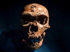 Whatever happened to the Neanderthals?