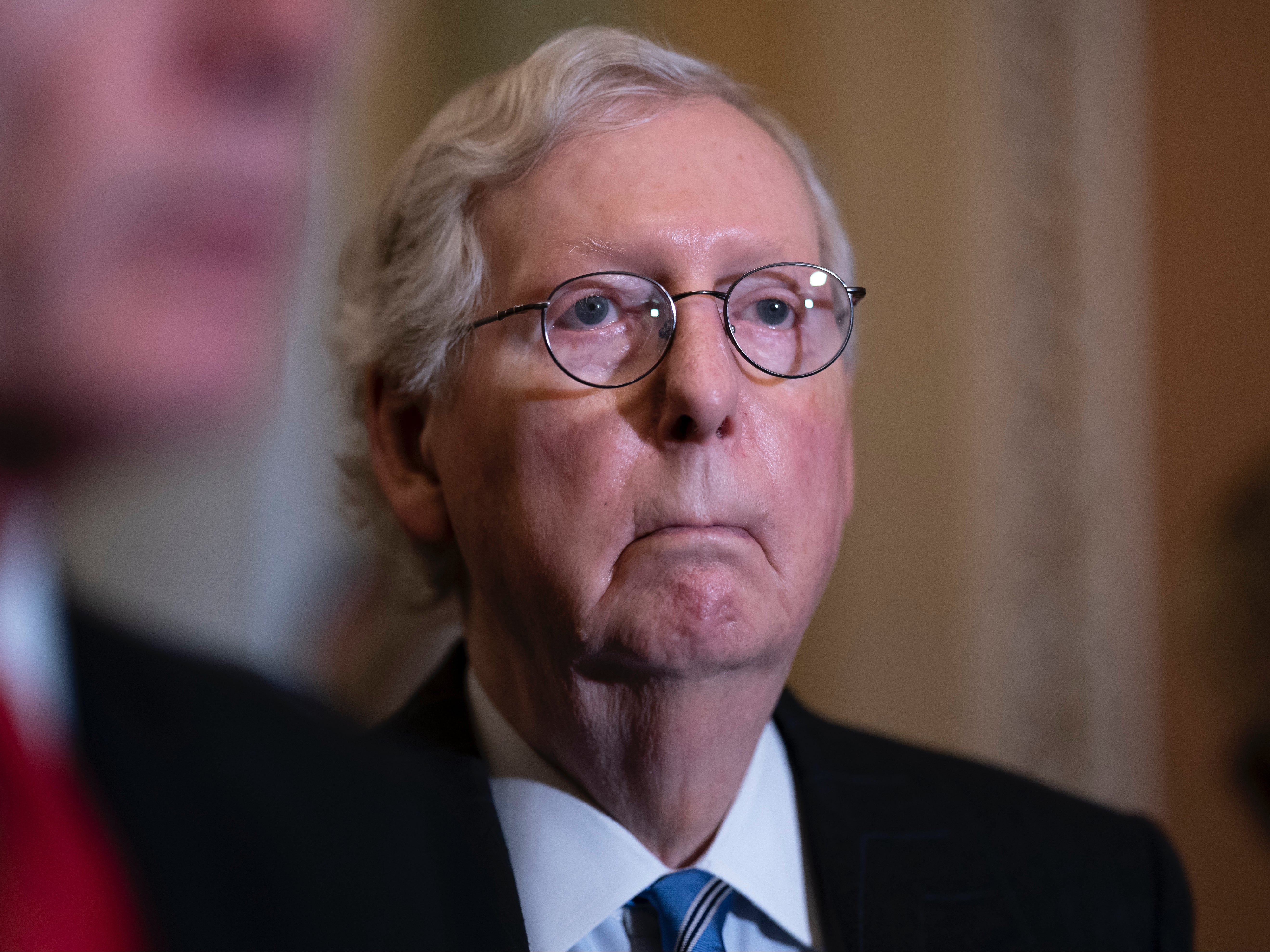 Mitch McConnell, Senate minority leader