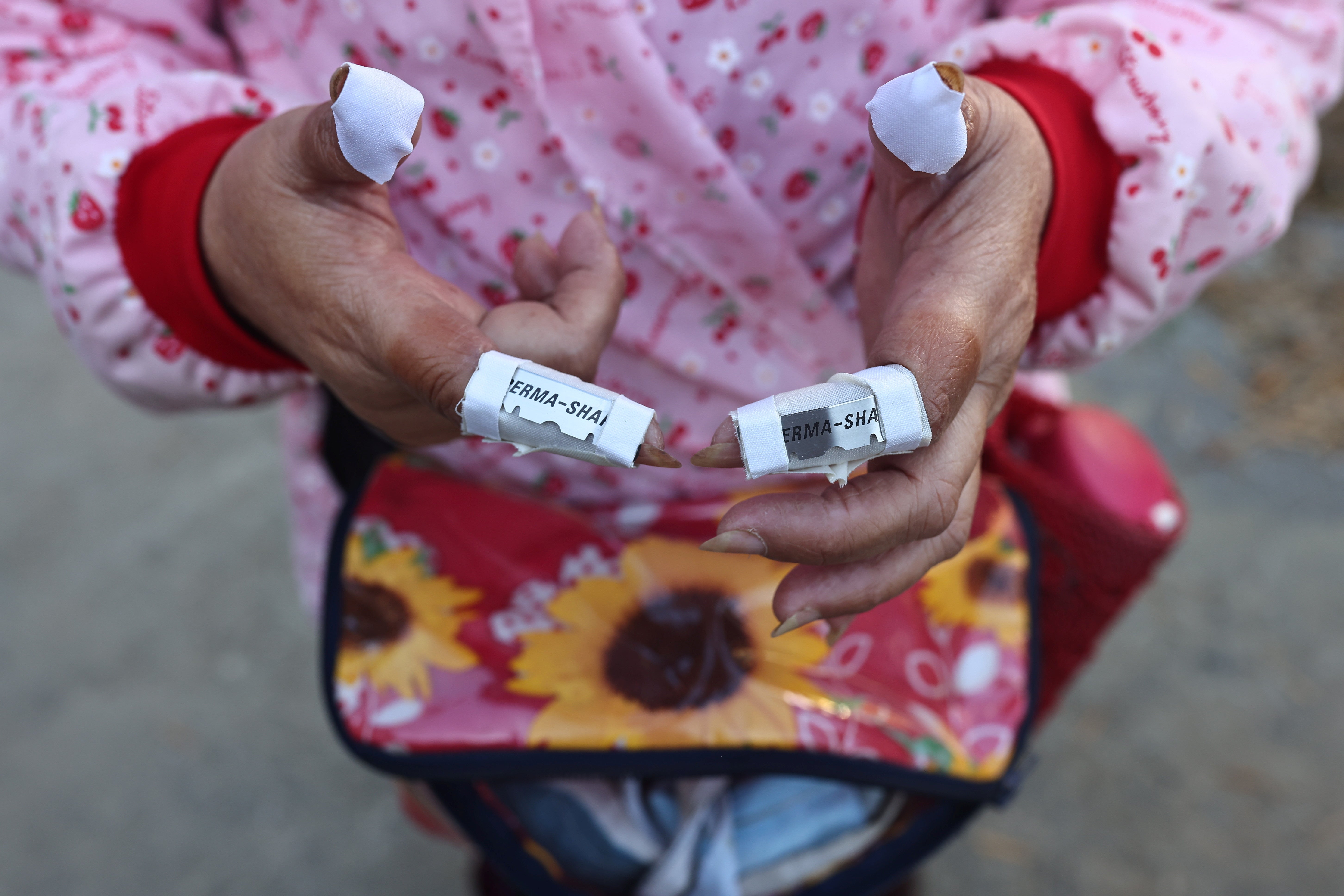 A harvester wraps blades around her fingers before starting a day of work