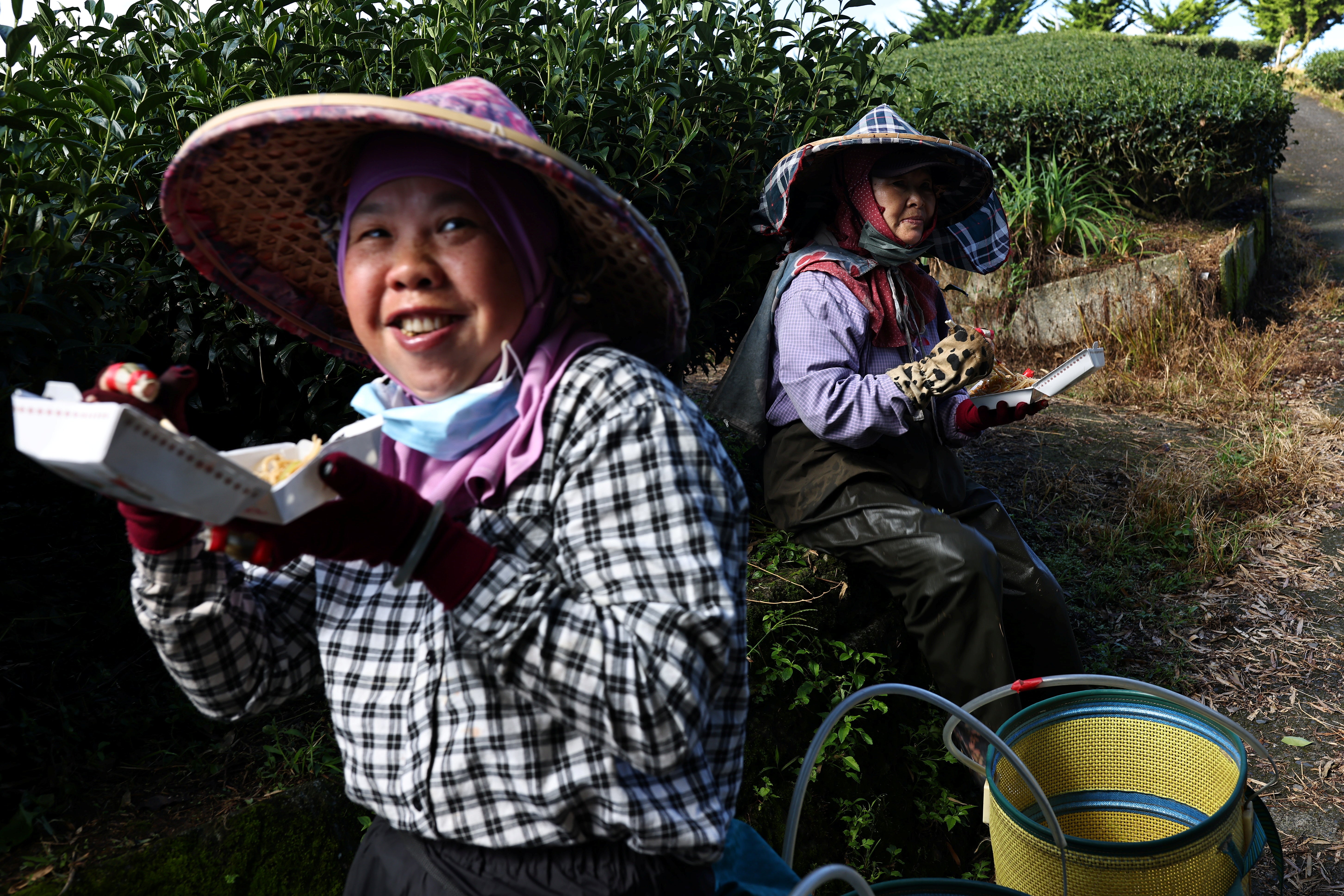 Tea harvesting staff enjoy a break from collecting leaves