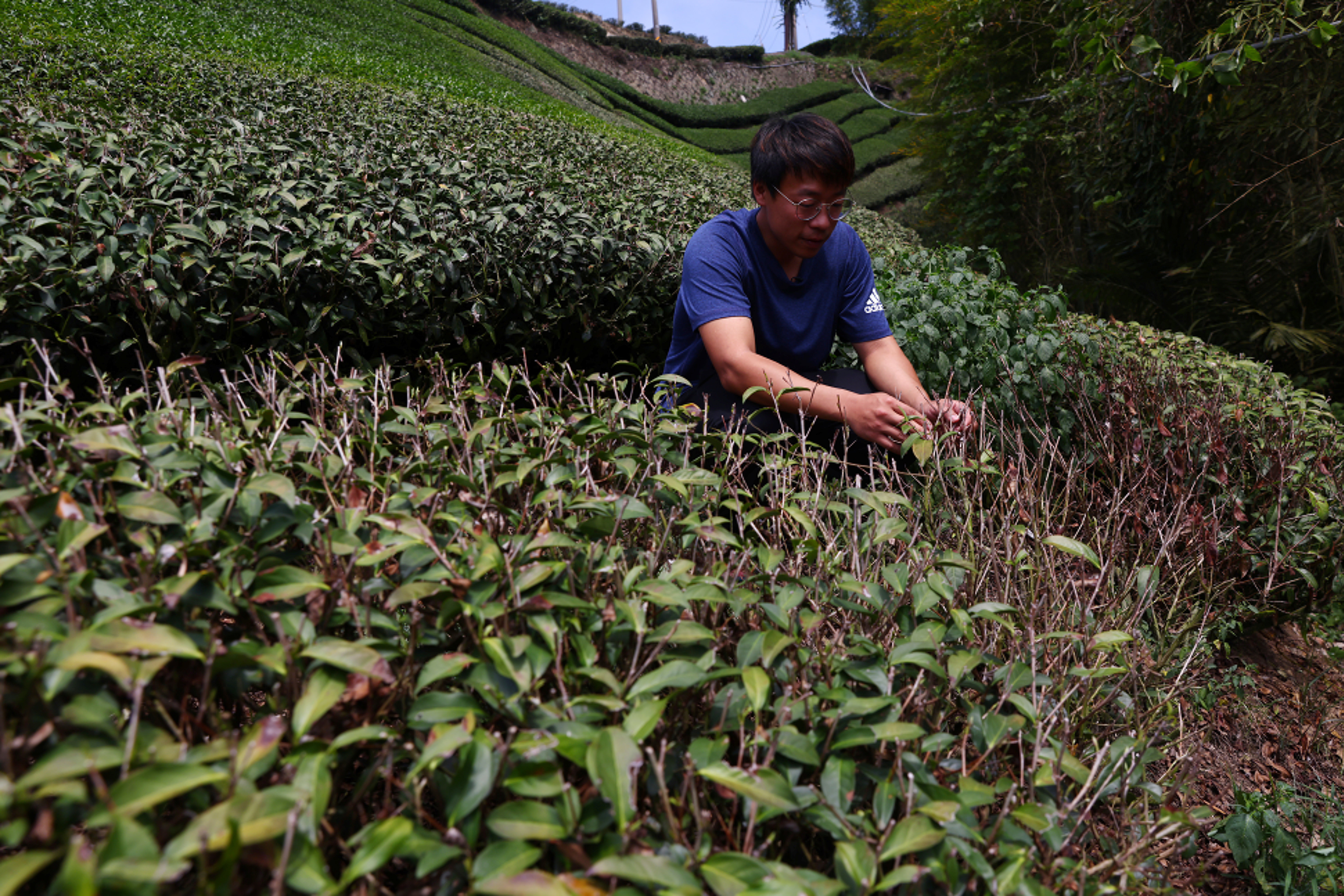 Chien Shun-yih on his farm in Jiayi