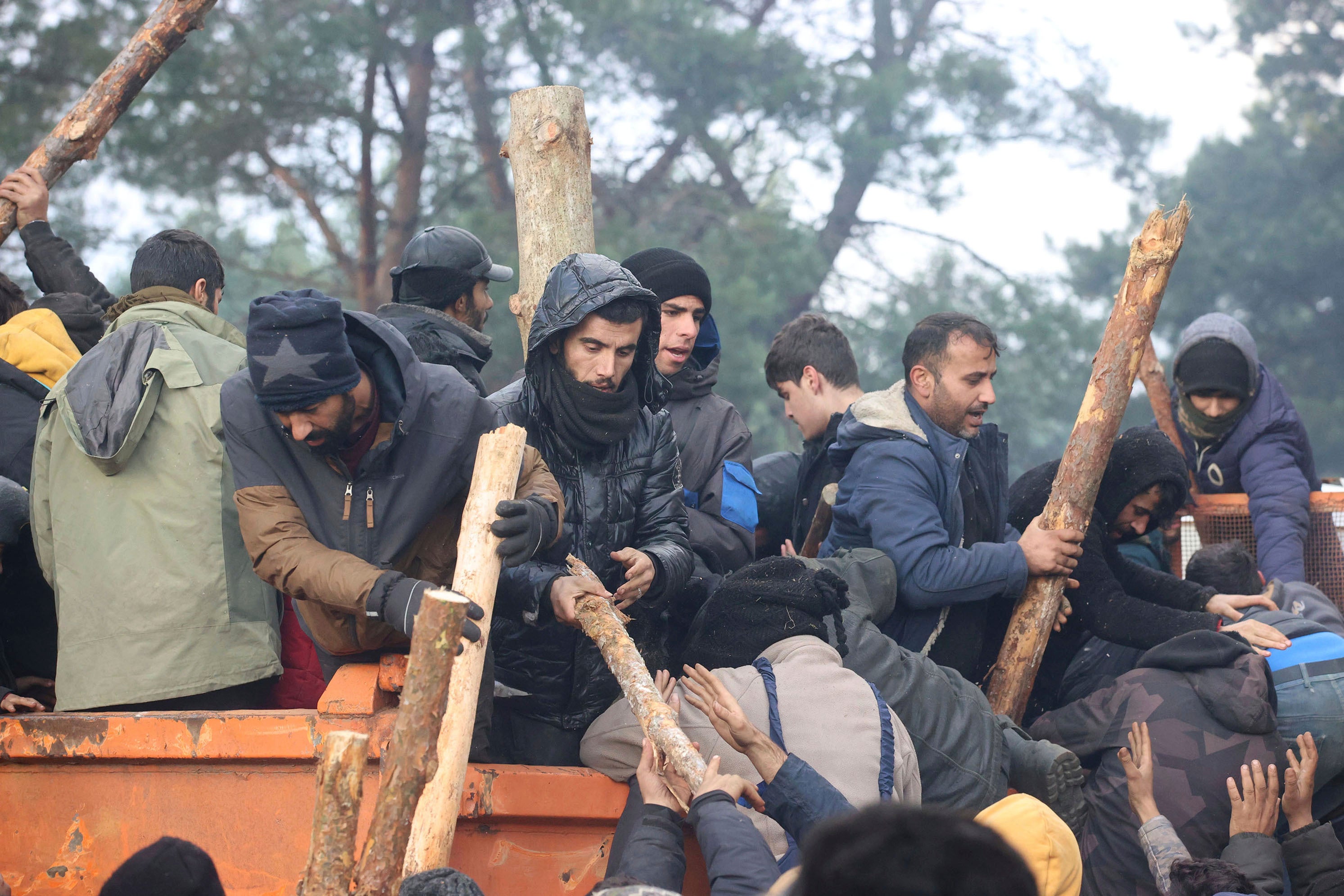 Migrants collect firewood