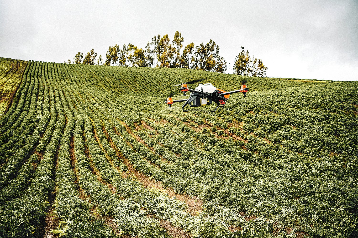 An XAG agricultural drone sprays crops in Ecuador, where farmers are in great need of such efficient and precision equipment to improve efficiency