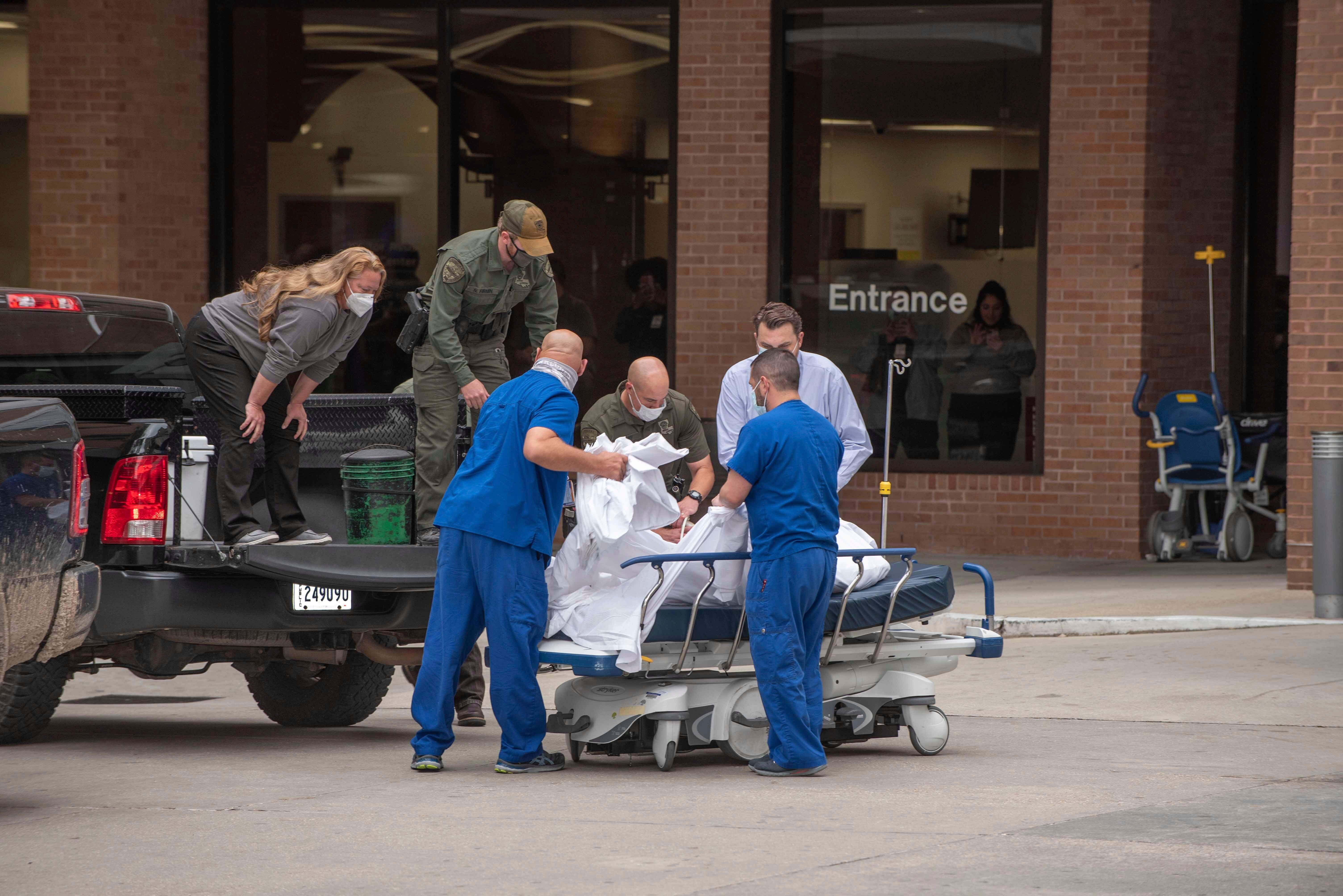 Deer in Hospital