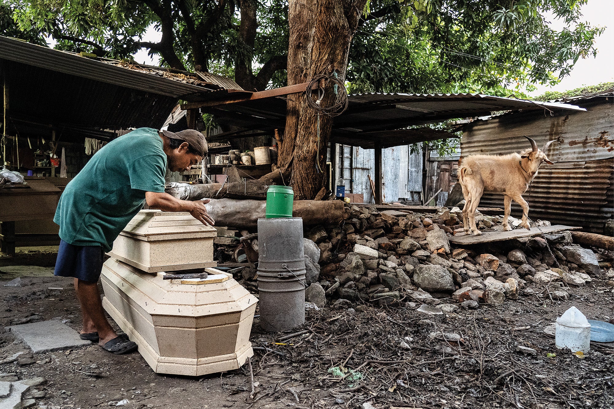 A man prepares coffins at his workshop, while his goat looks on, in San Salvador