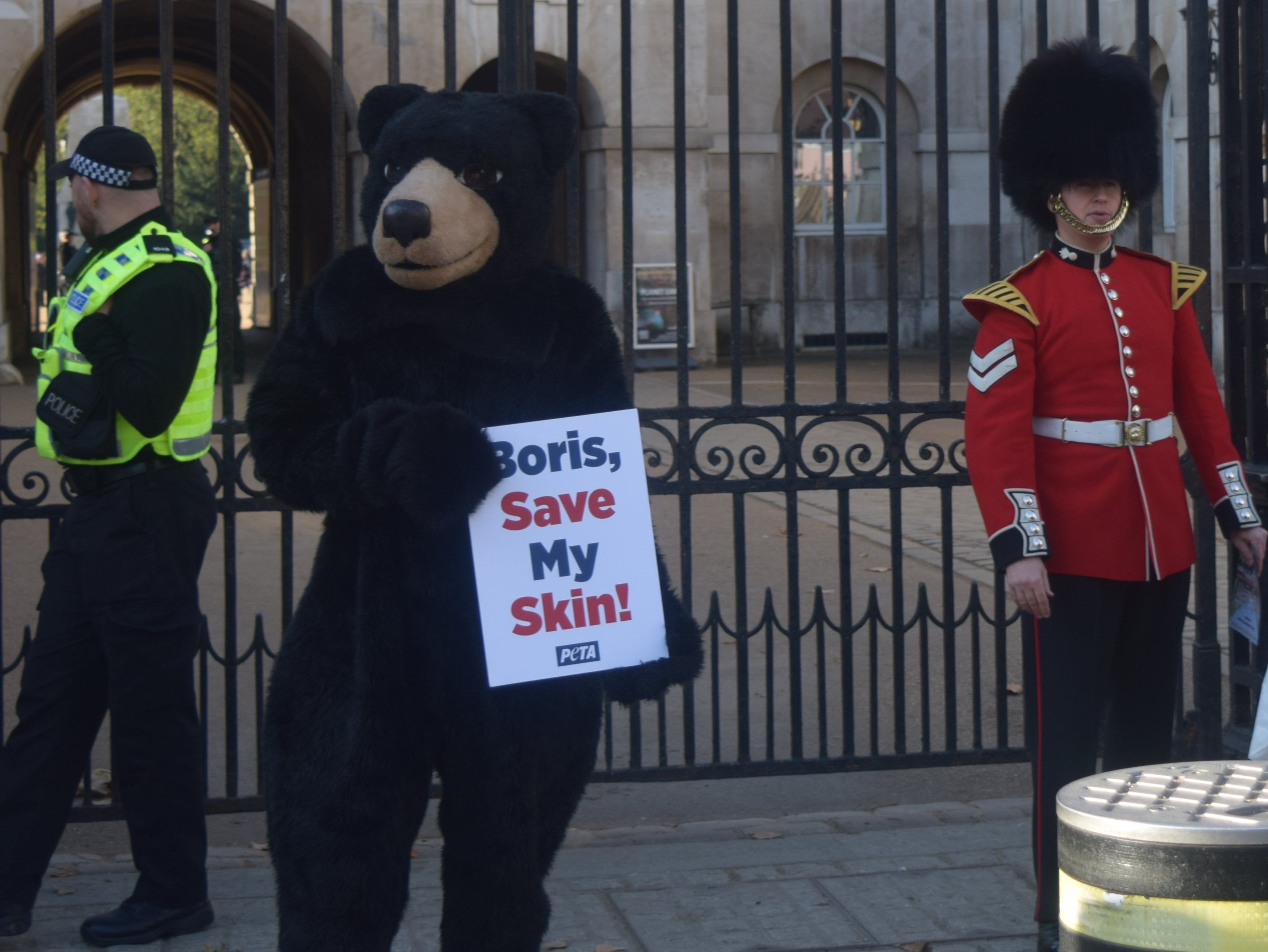 A fake-fur ‘bear’ at Downing Street in an appeal to the PM