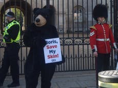 Defence chiefs ‘funding slaughter of bears’ with £1m fur hat spend