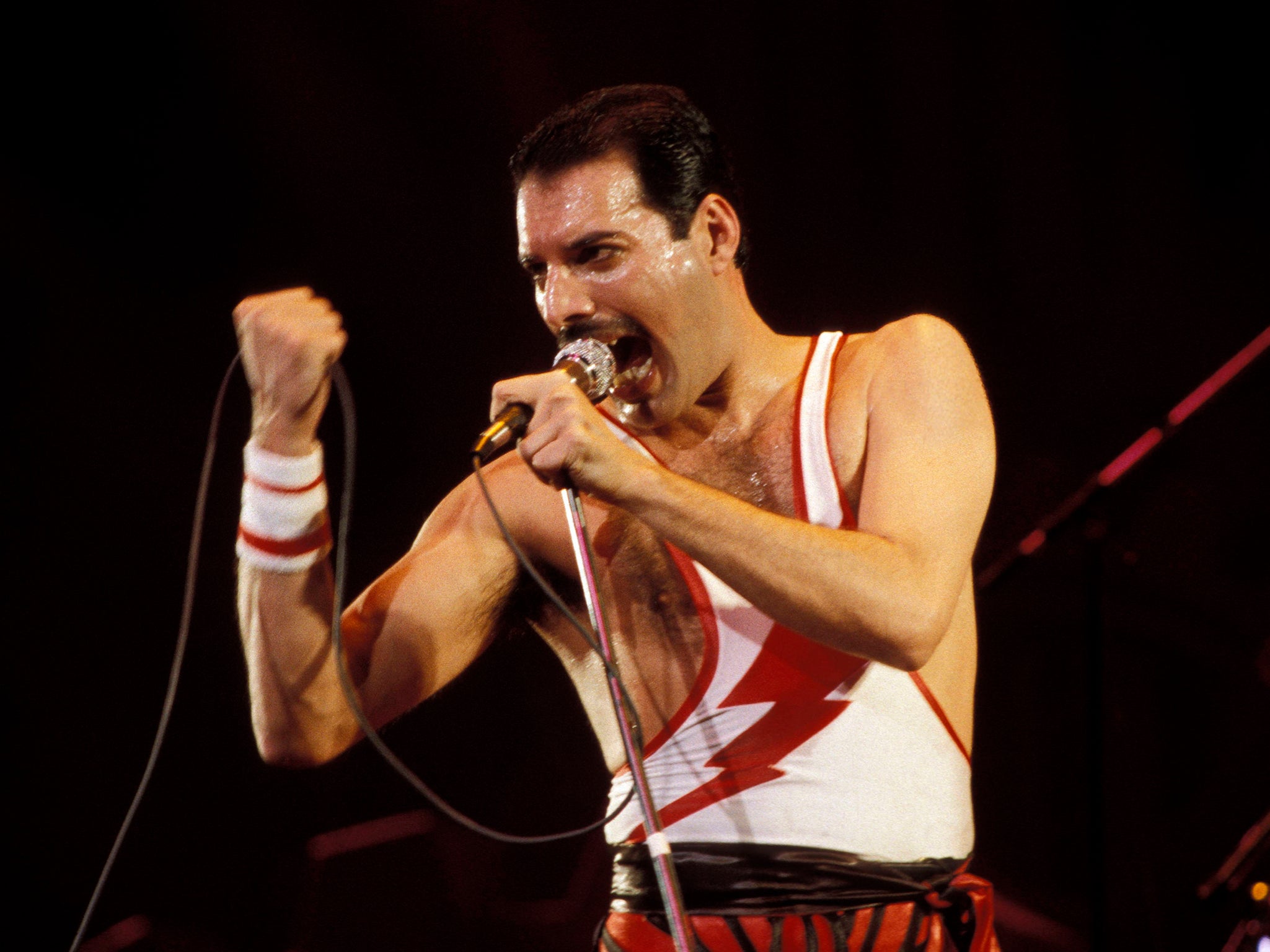 ‘He didn’t want to go through the misery of being the object of pity’: Freddie Mercury in concert