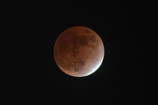 Lunar eclipse 2021 pictures: Stunning photos show beaver ‘blood’ moon’s partial eclipse