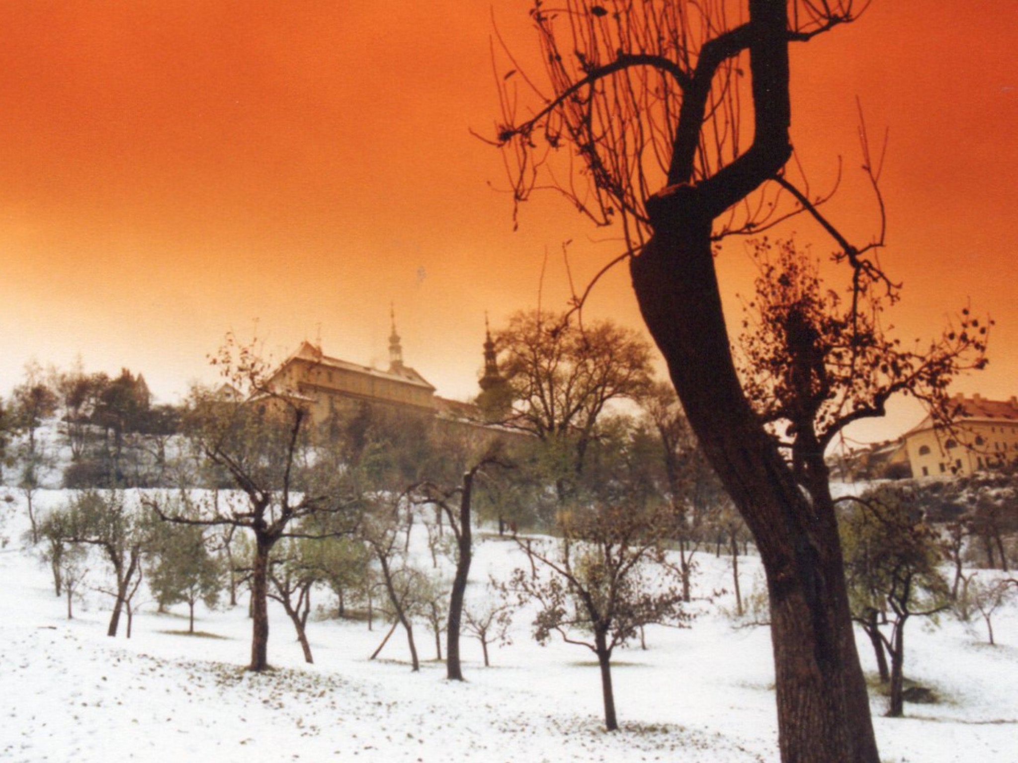 Park in Prague