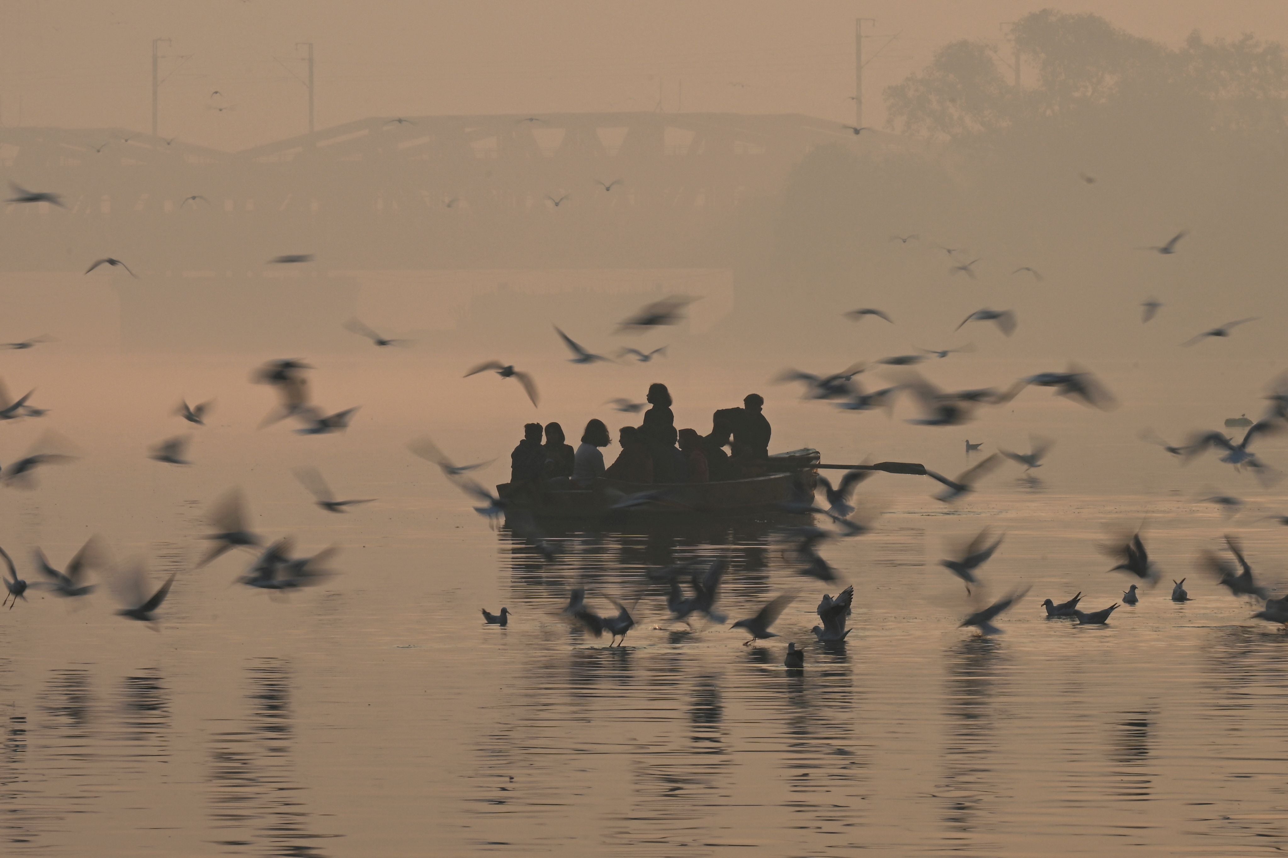 People take a ride on a boat to feed seagulls near the banks of the Yamuna River