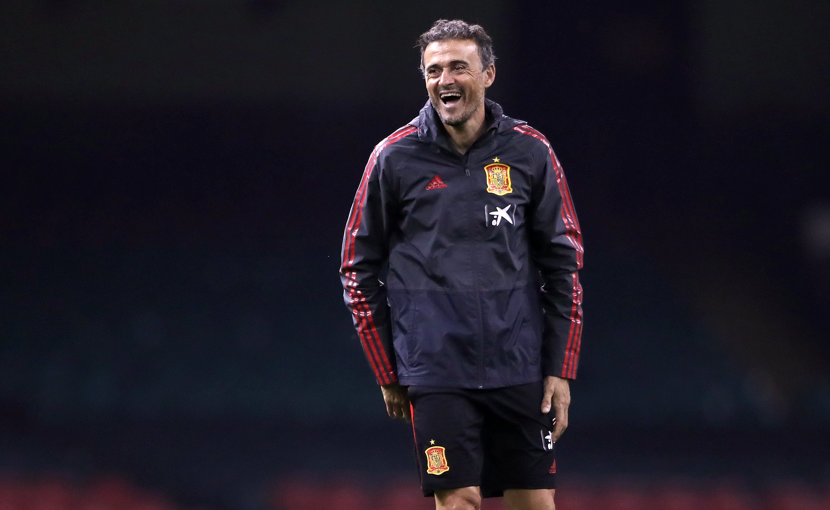 Could Luis Enrique do the job alongside his role for Spain? (Nick Potts/PA)