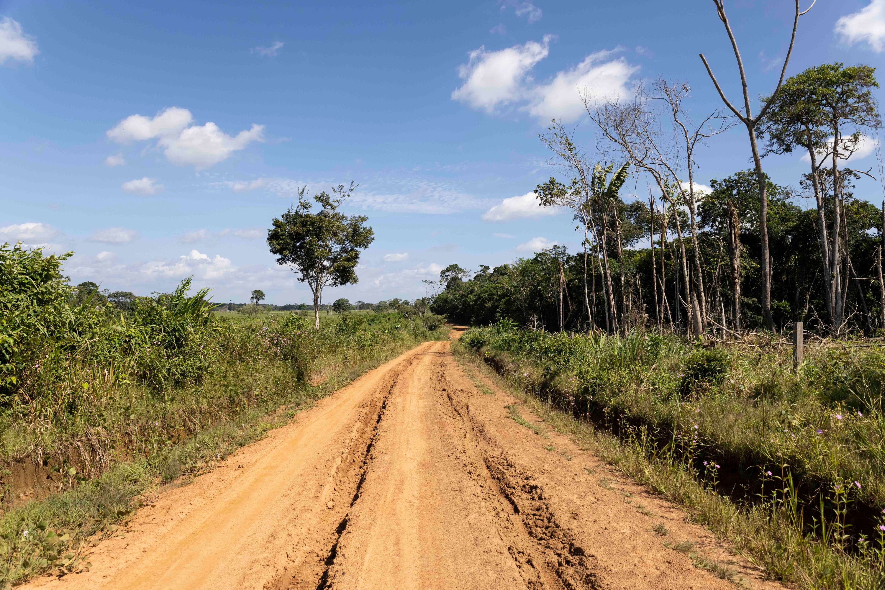 The muddy trail to reach Montebello and Morichal becomes nearly impassable when it rains