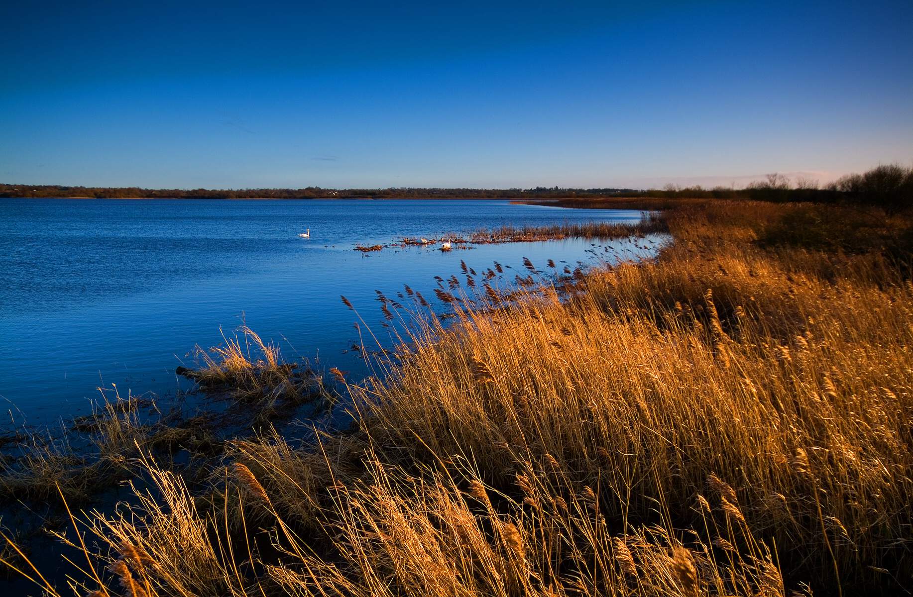 This peaceful fishing lake is 20 miles west of Belfast