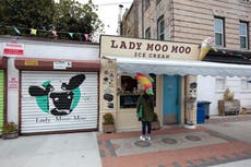 Lady Moo Moo: An ice-cream parlour close to my heart