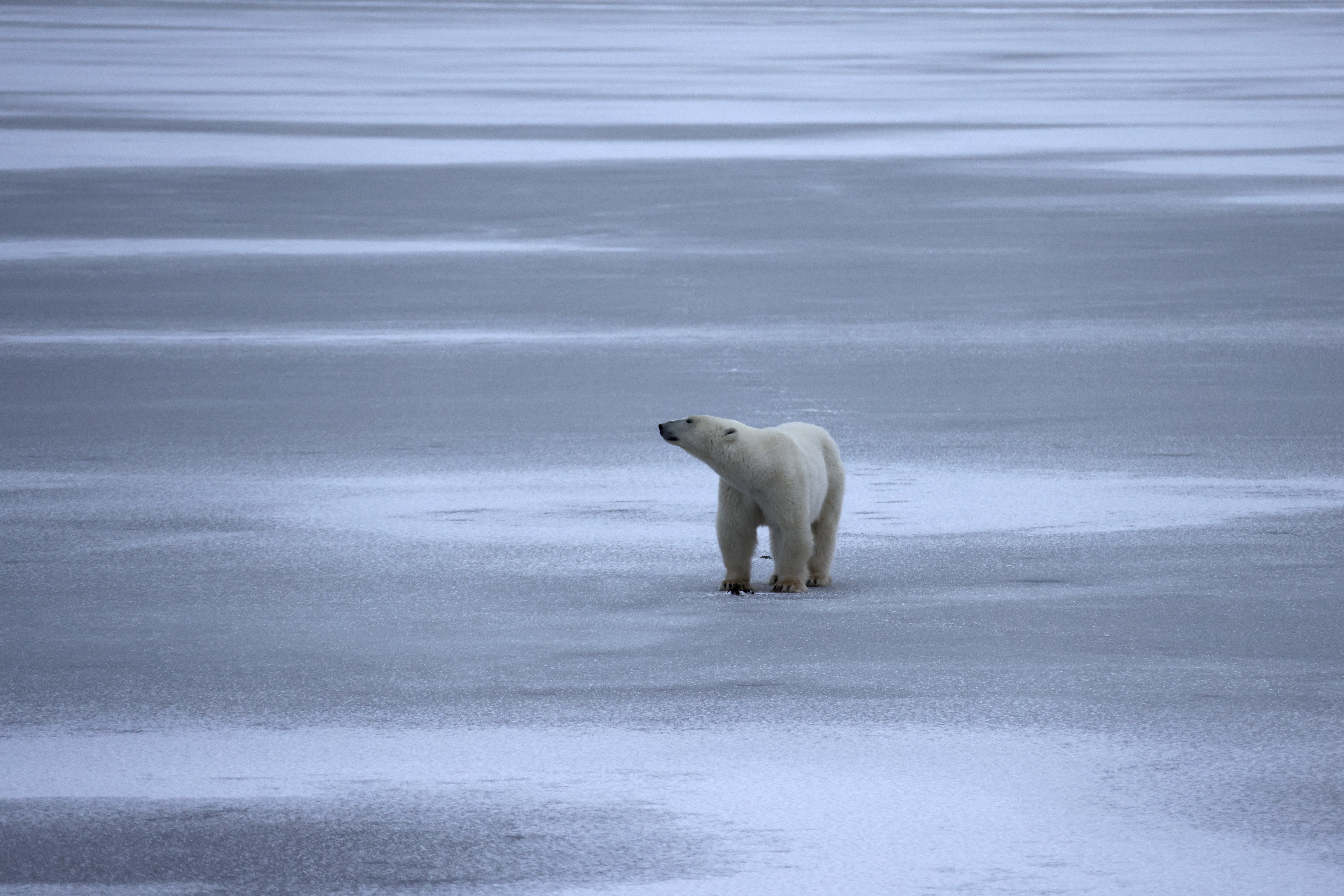 Four in ten people ranked climate change as the biggest issue of concern facing Britain.