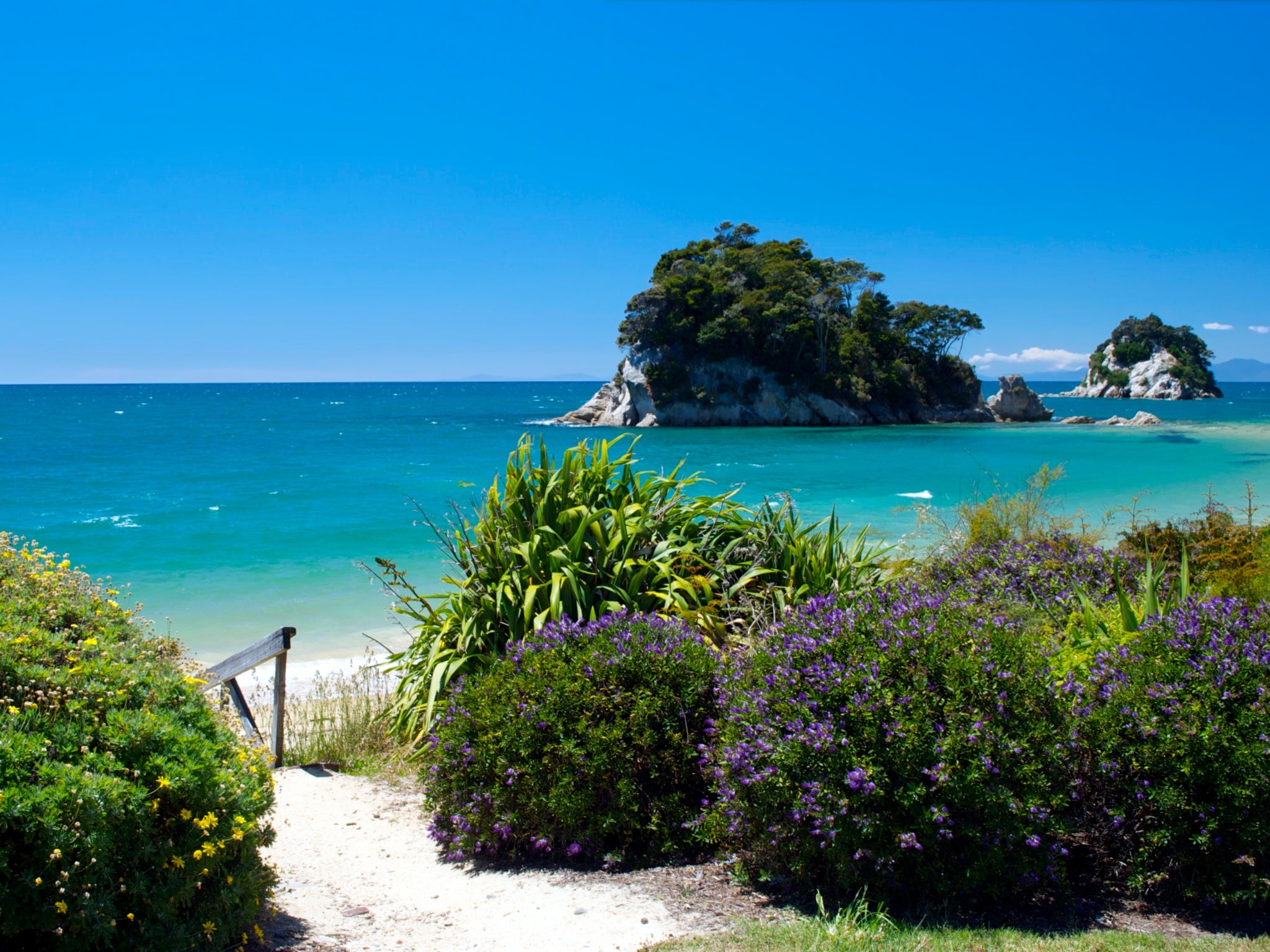 Little Kaiteriteri, near the author’s hometown of Nelson, New Zealand